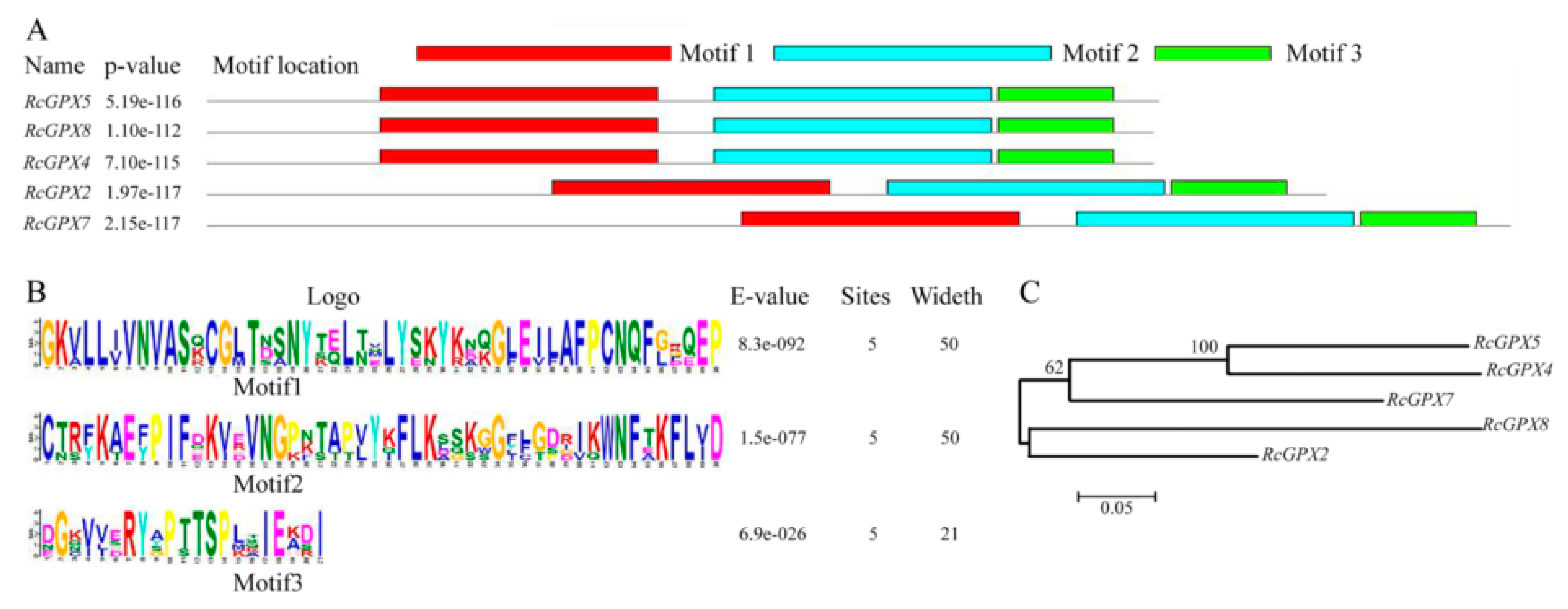 Ijms 19 03329 g002 Ijms 19 03329 g002