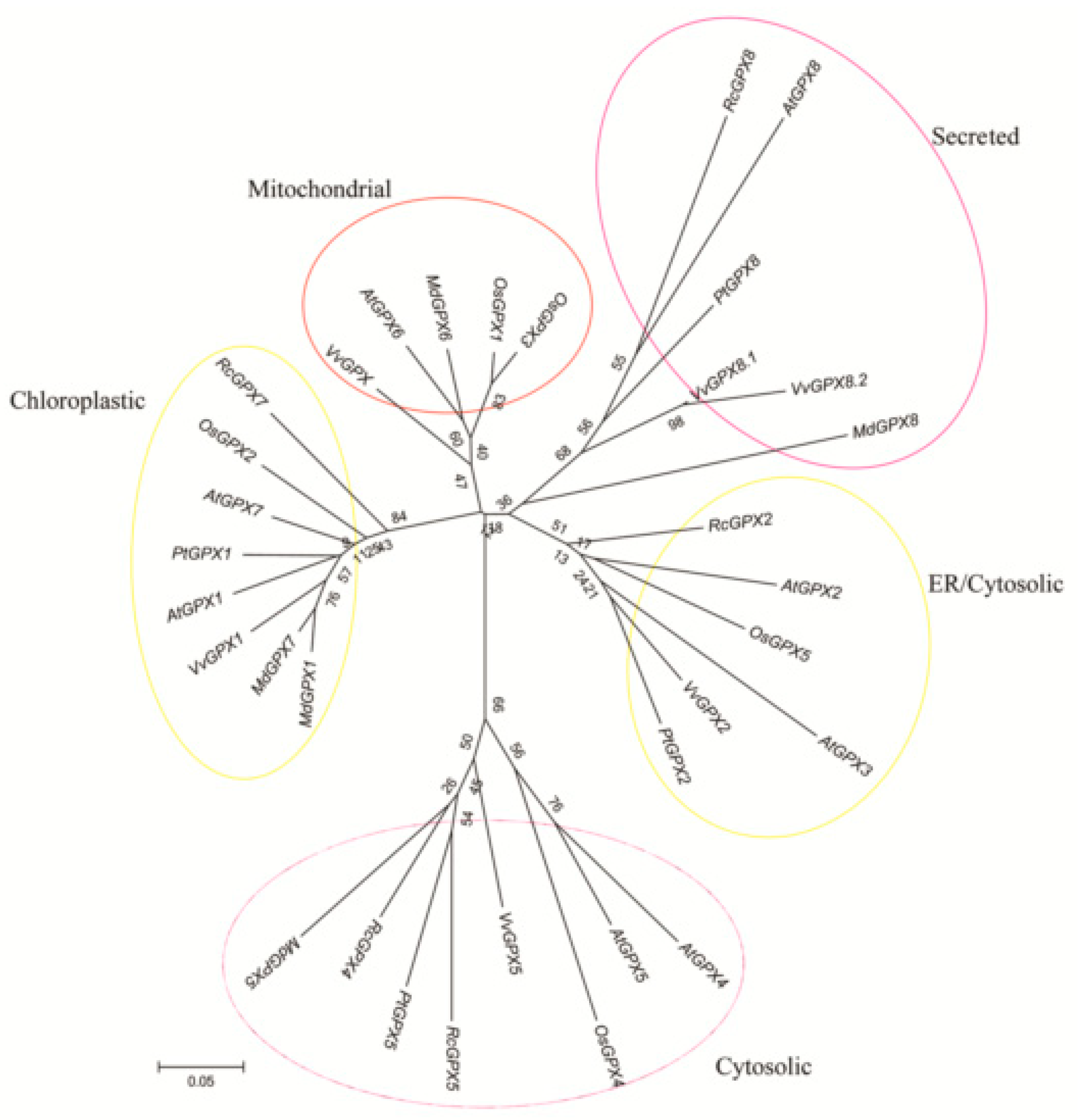 Ijms 19 03329 g003 Ijms 19 03329 g003