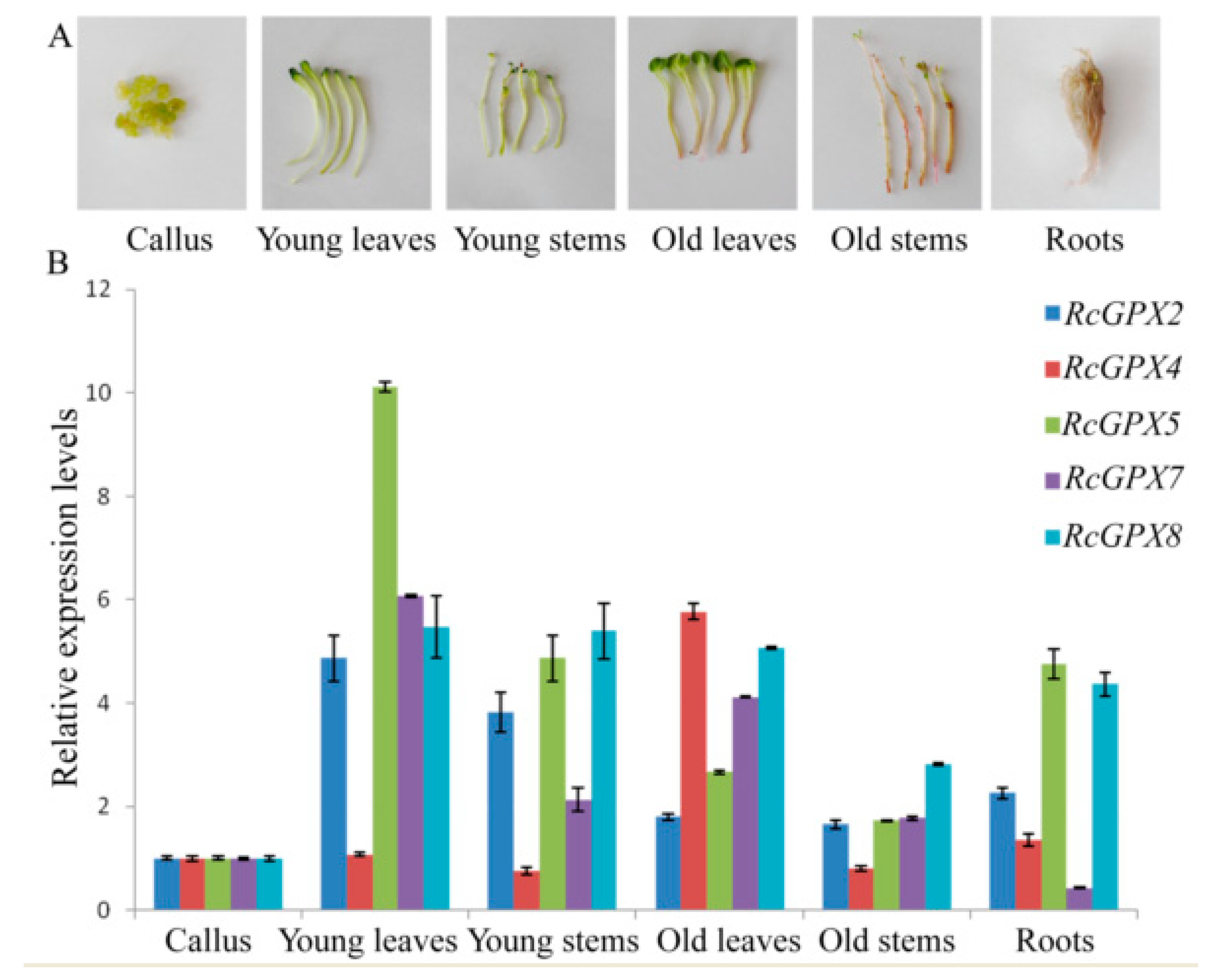Ijms 19 03329 g004 Ijms 19 03329 g004