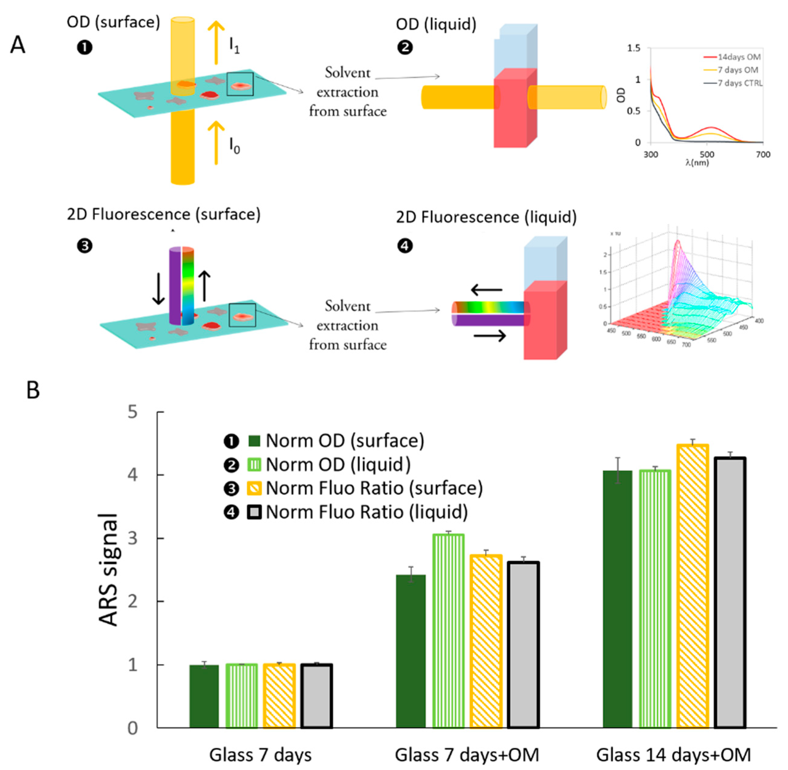 Ijms 19 03336 g003 Ijms 19 03336 g003