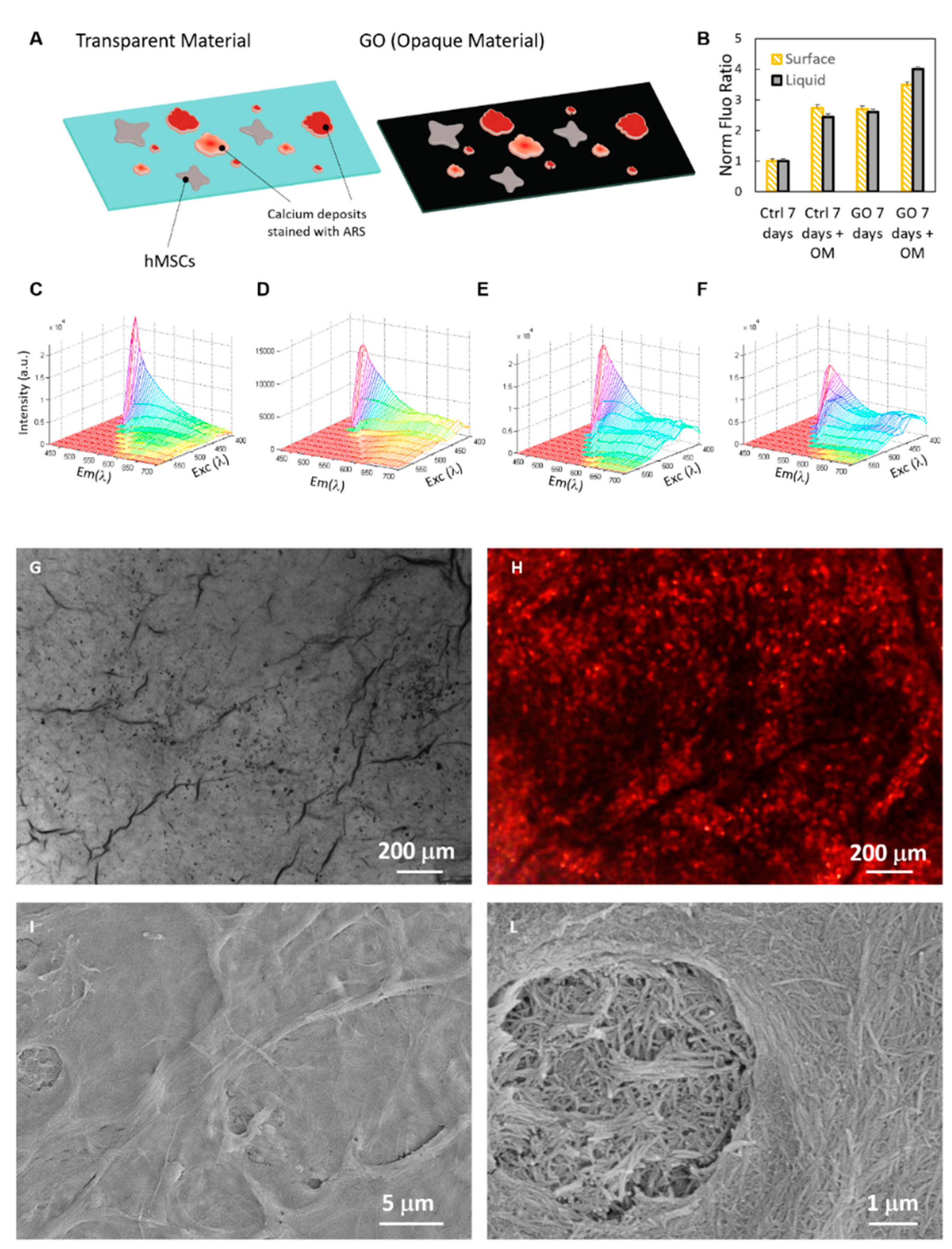 Ijms 19 03336 g004 Ijms 19 03336 g004