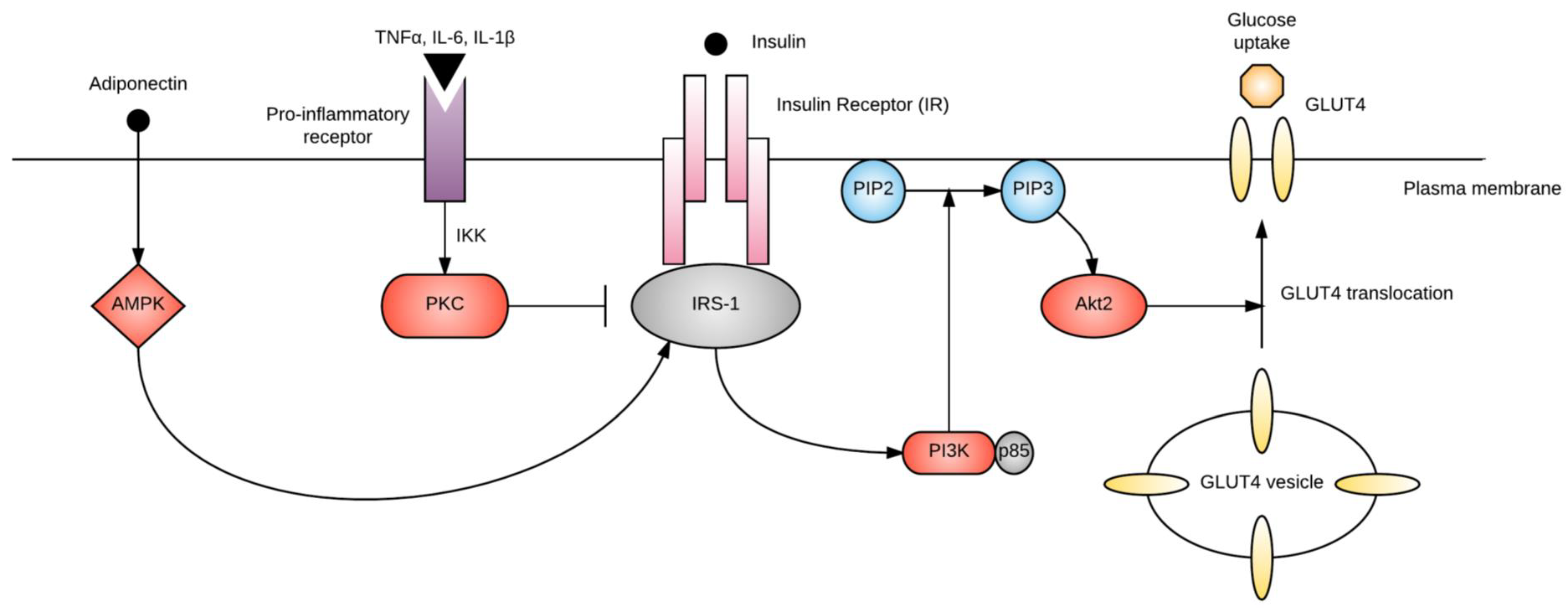 Ijms 19 03342 g001 Ijms 19 03342 g001