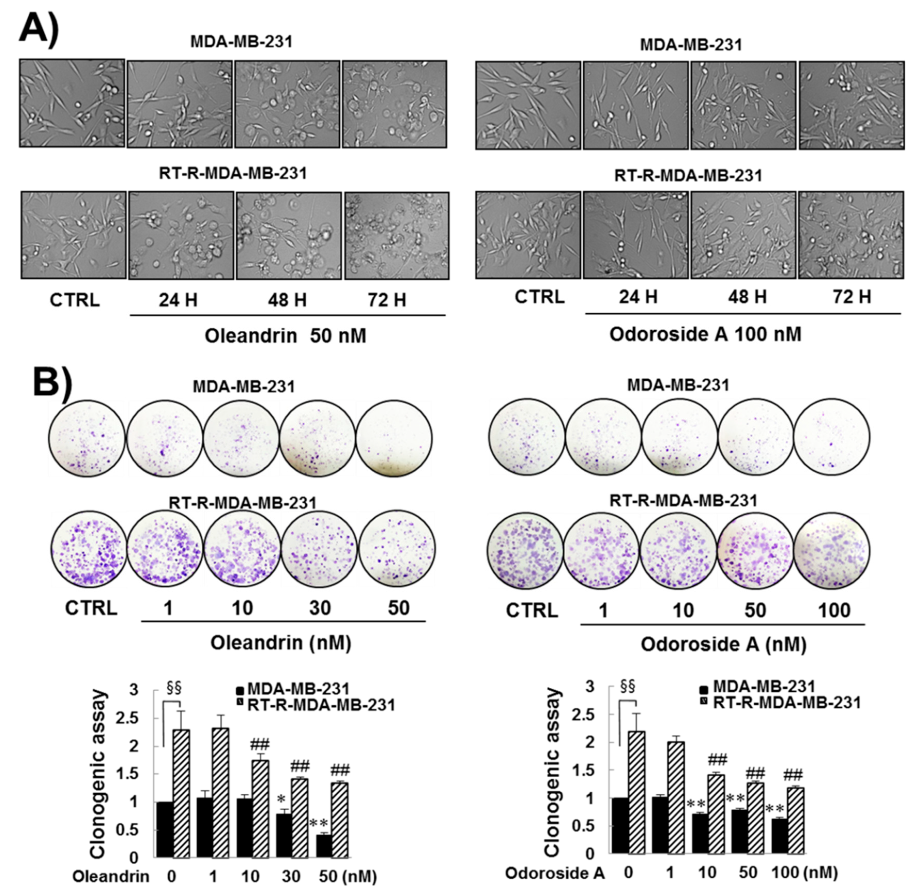 Ijms 19 03350 g002 Ijms 19 03350 g002