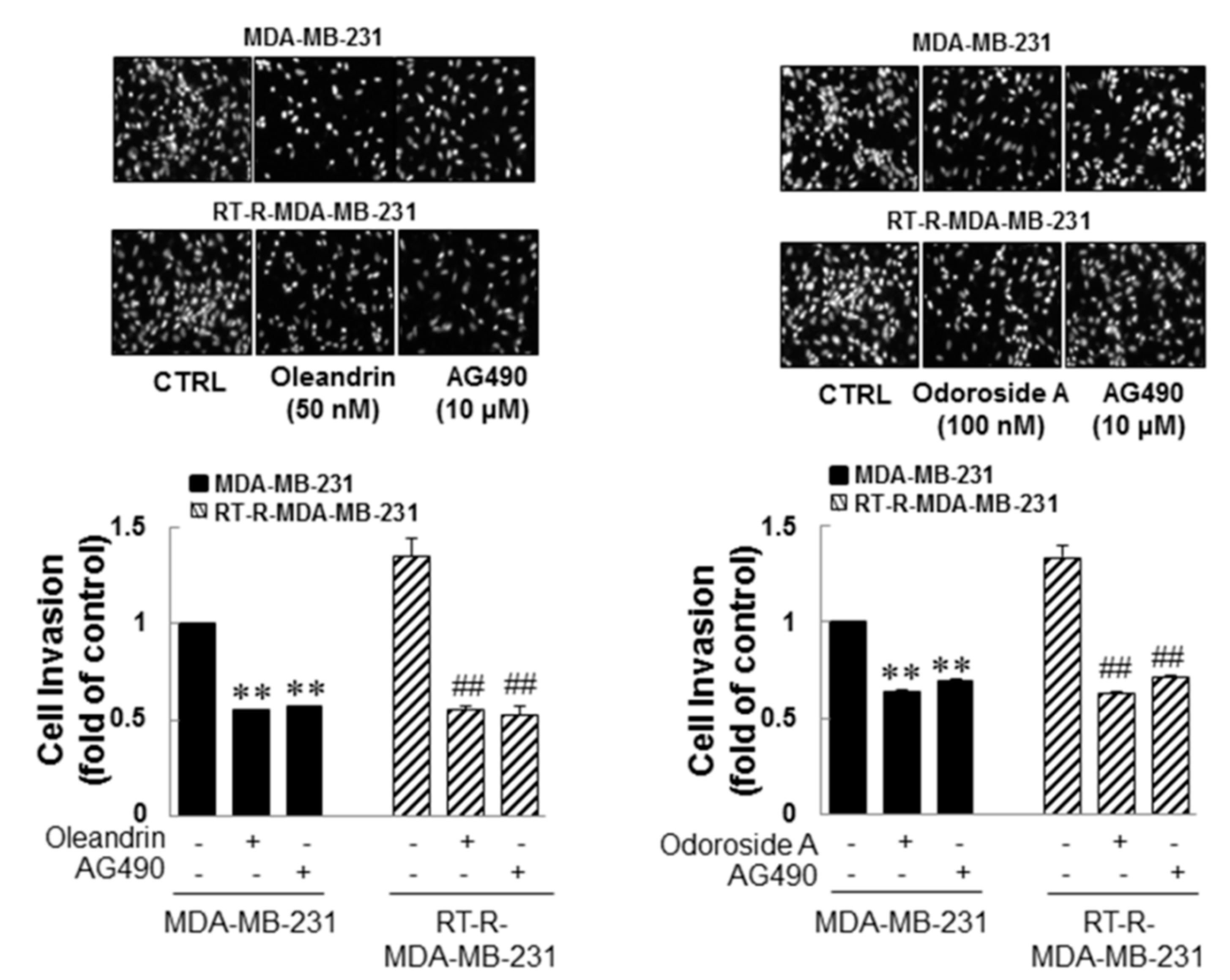 Ijms 19 03350 g006 Ijms 19 03350 g006