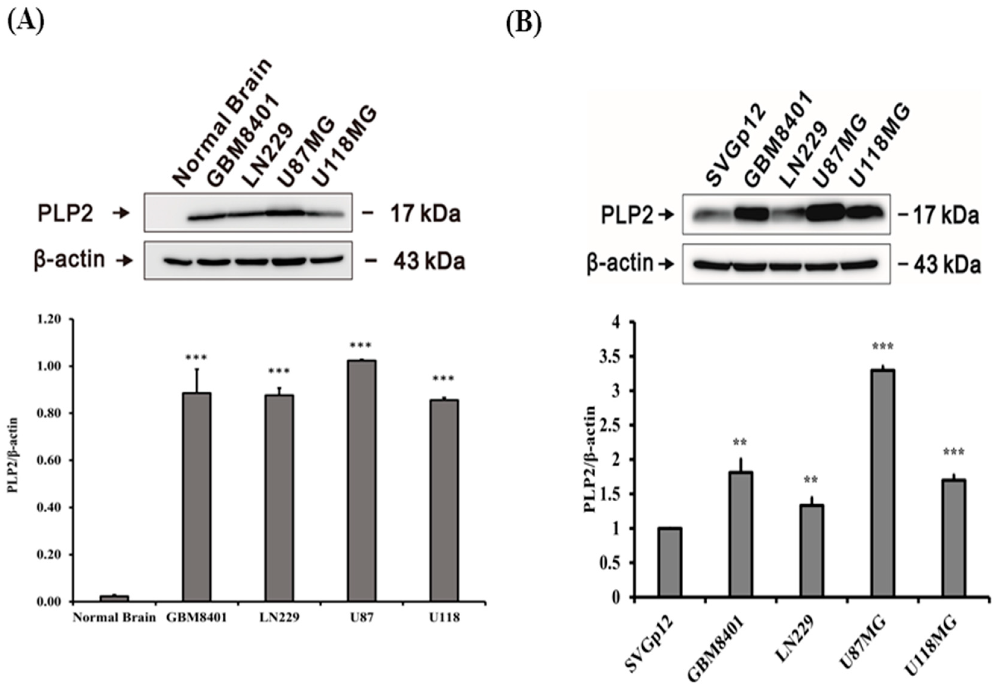 Ijms 19 03353 g001 Ijms 19 03353 g001