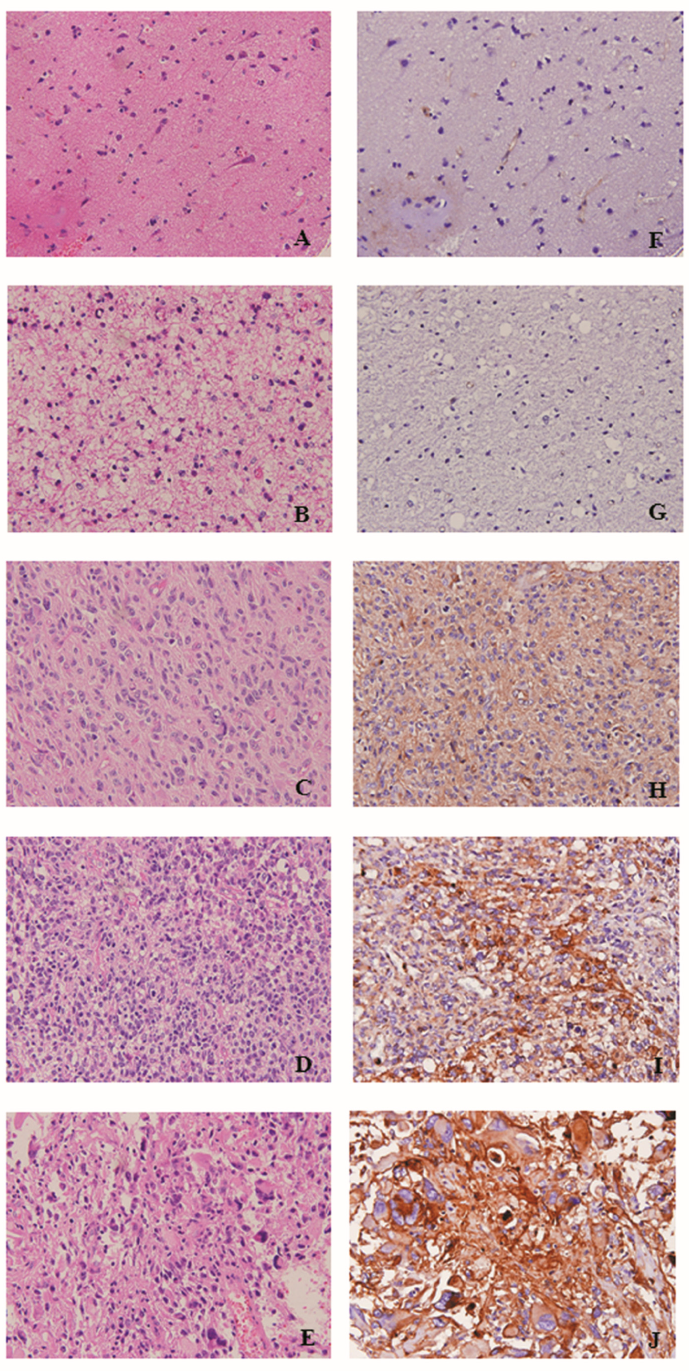 Ijms 19 03353 g003 Ijms 19 03353 g003