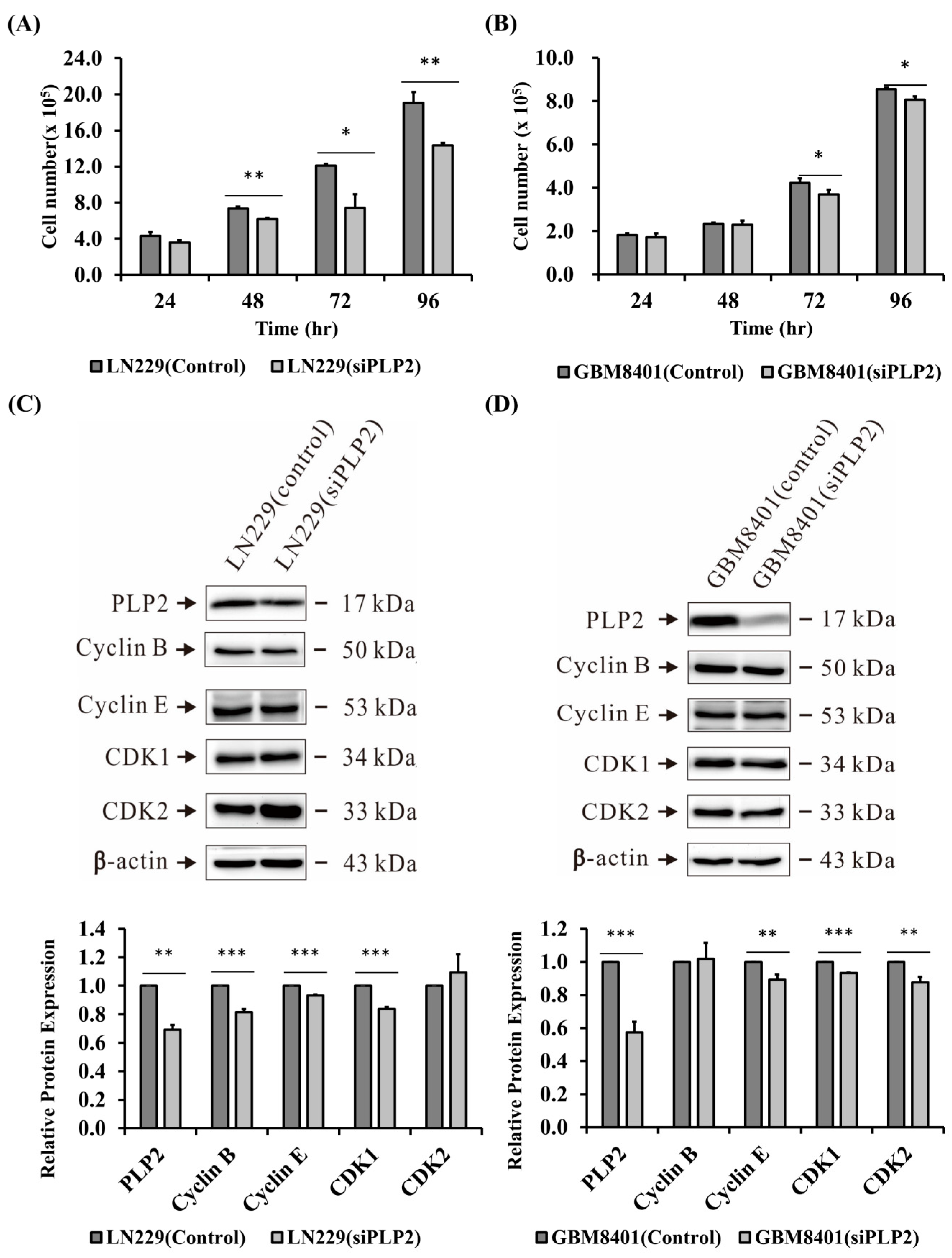 Ijms 19 03353 g005 Ijms 19 03353 g005