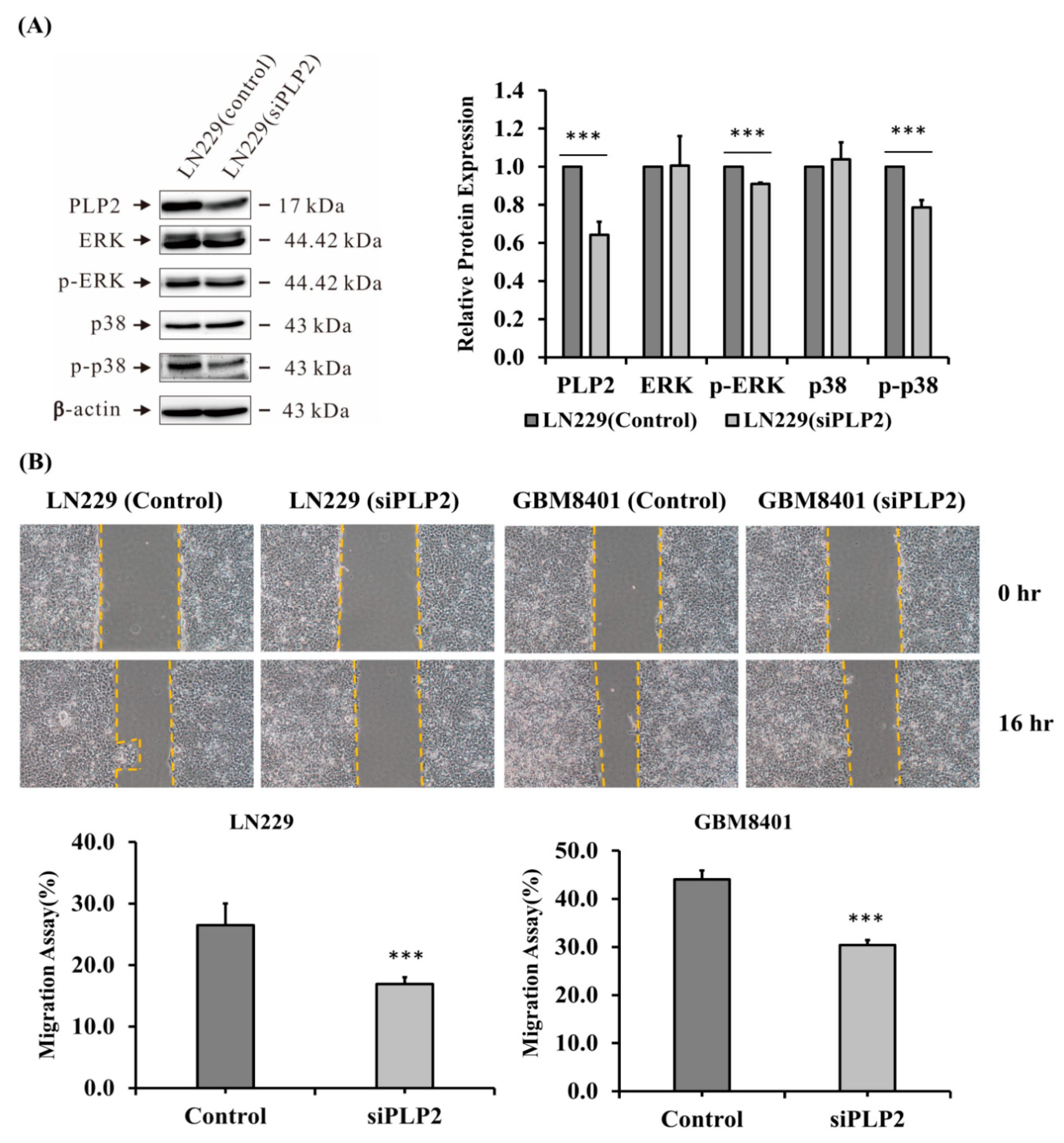 Ijms 19 03353 g006 Ijms 19 03353 g006