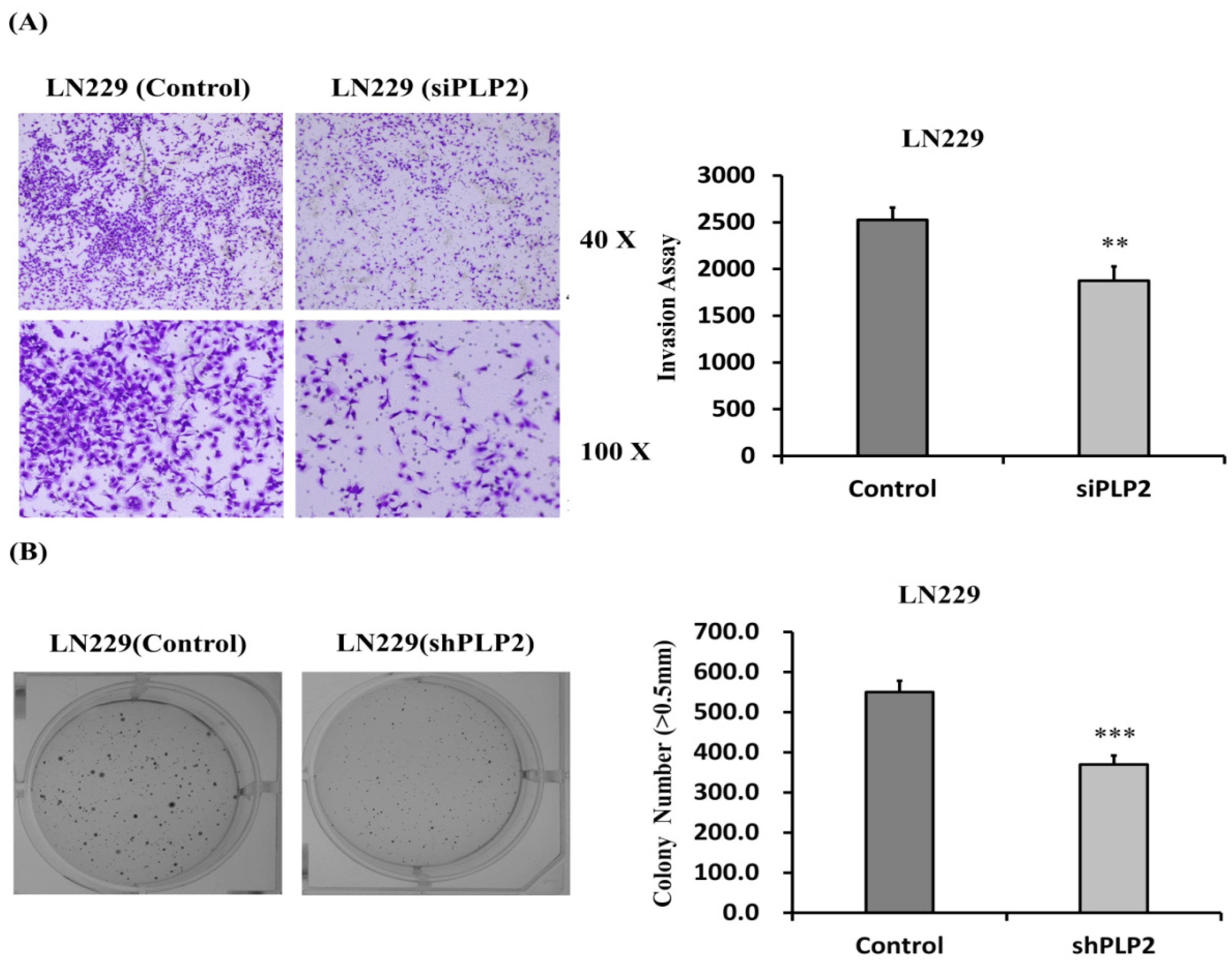 Ijms 19 03353 g007 Ijms 19 03353 g007