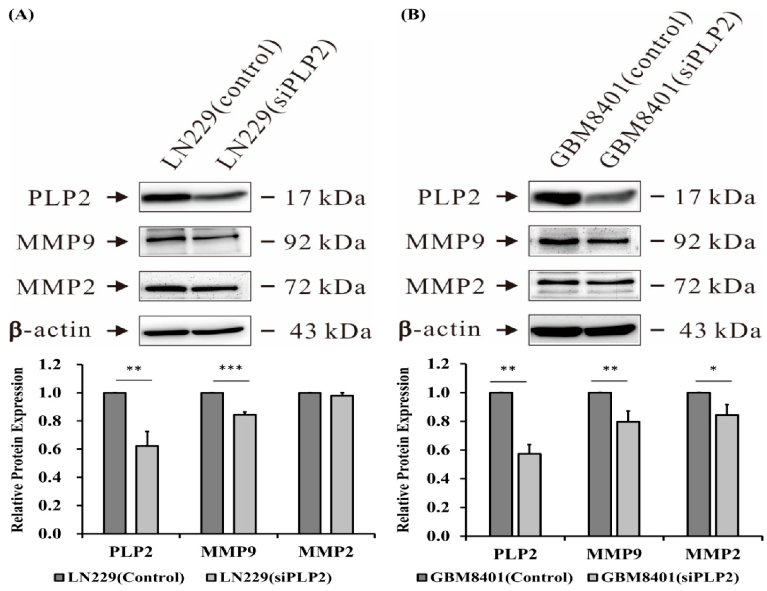 Ijms 19 03353 g008 Ijms 19 03353 g008