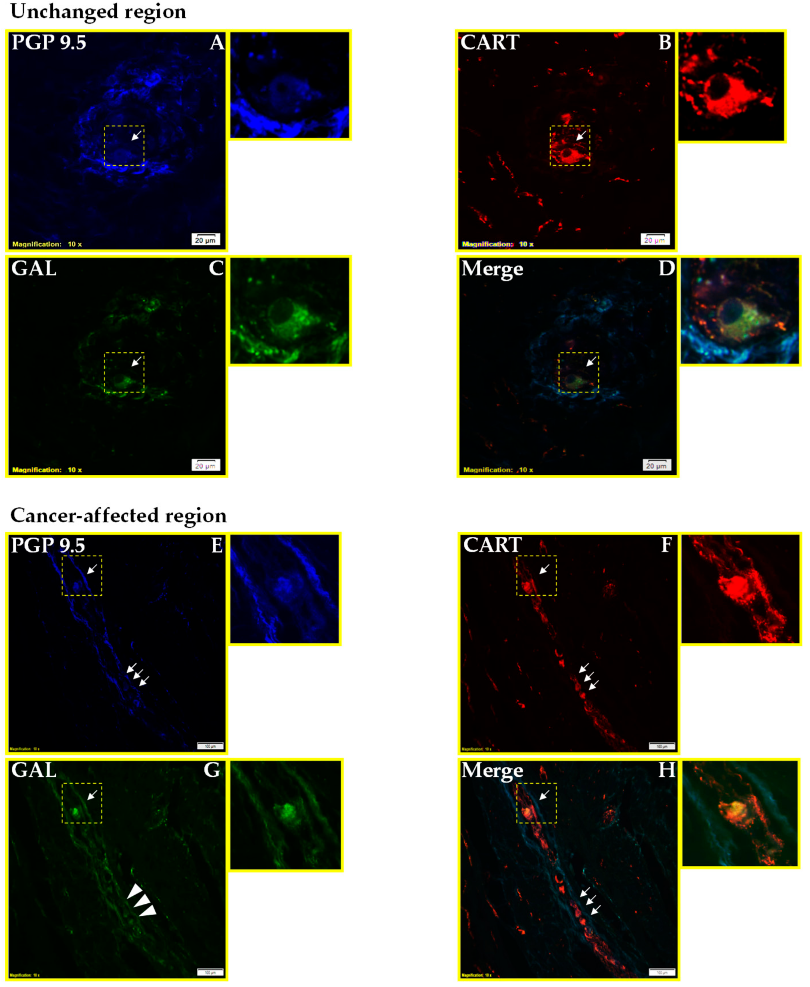 Ijms 19 03357 g002