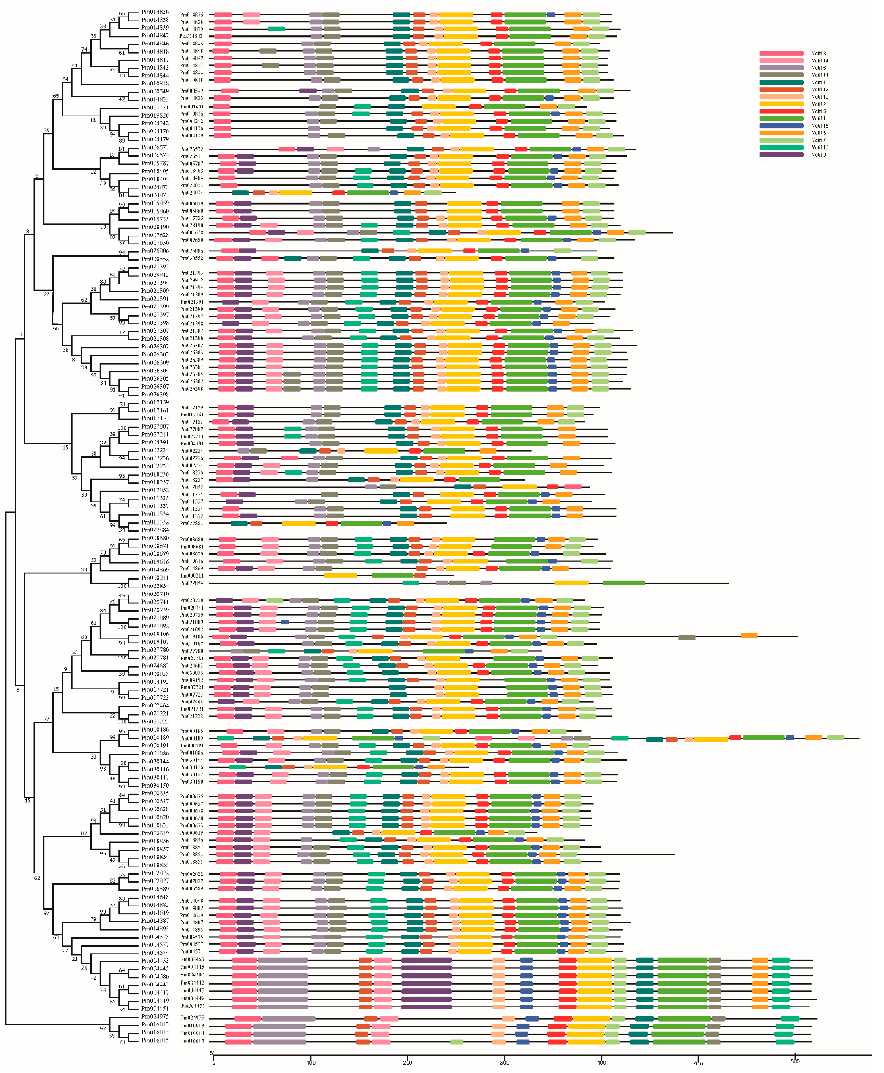 Ijms 19 03382 g004 Ijms 19 03382 g004