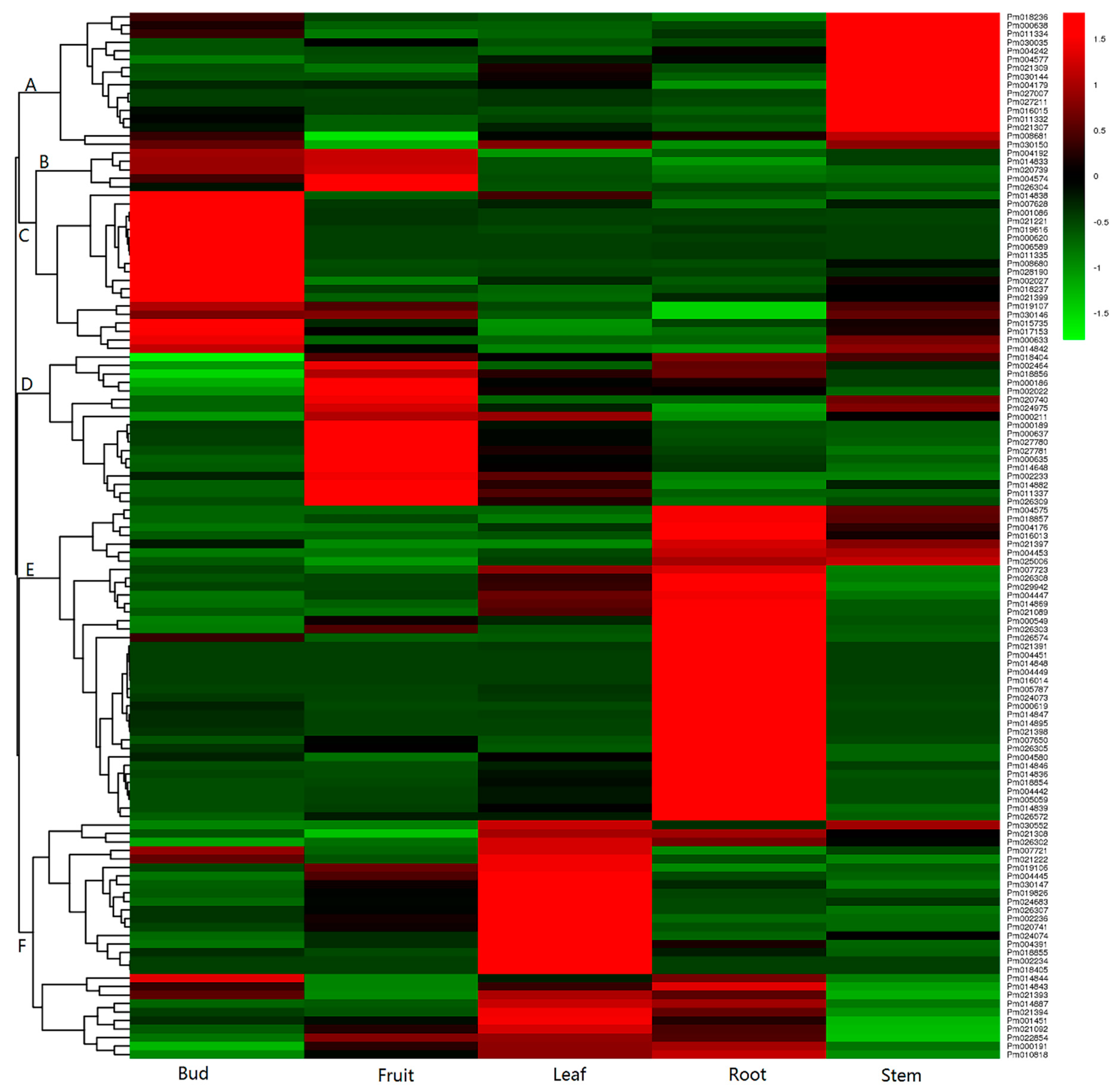 Ijms 19 03382 g005 Ijms 19 03382 g005