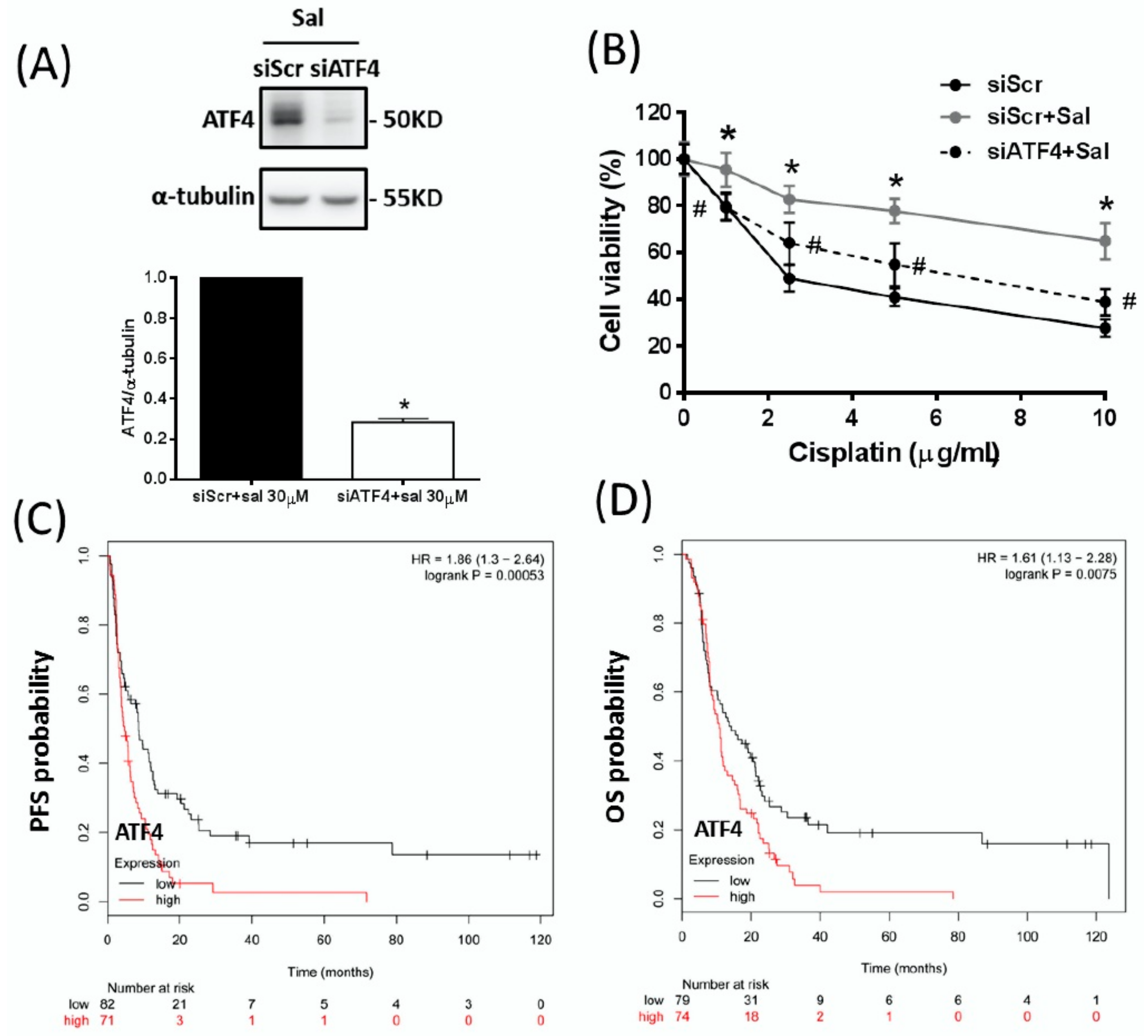 Ijms 19 03389 g002 Ijms 19 03389 g002