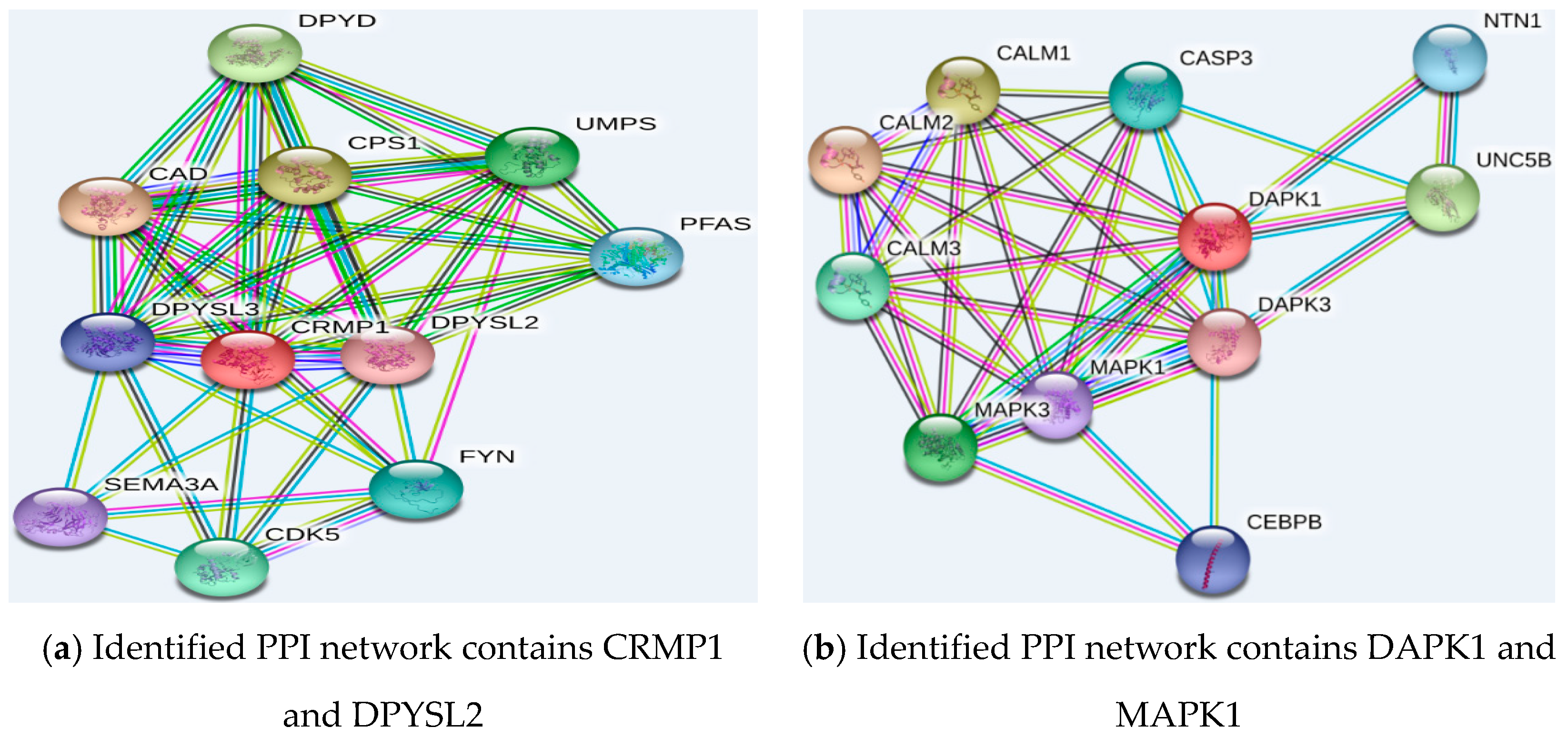 Ijms 19 03398 g005a Ijms 19 03398 g005a