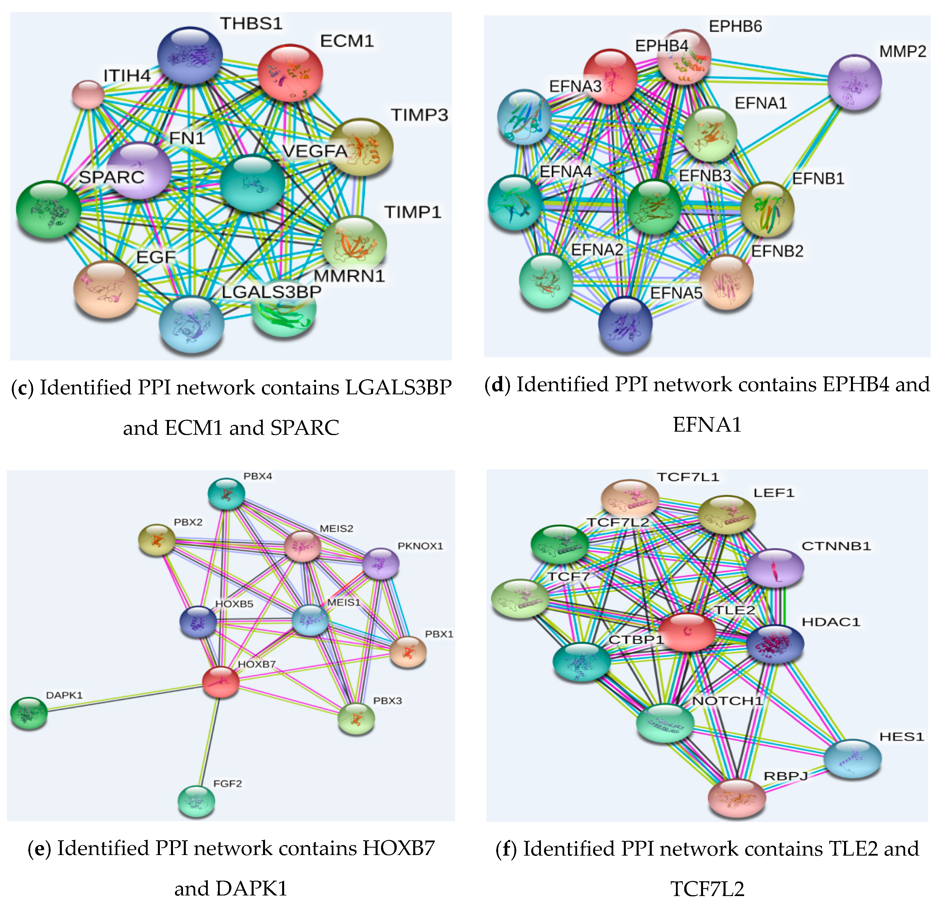 Ijms 19 03398 g005b Ijms 19 03398 g005b