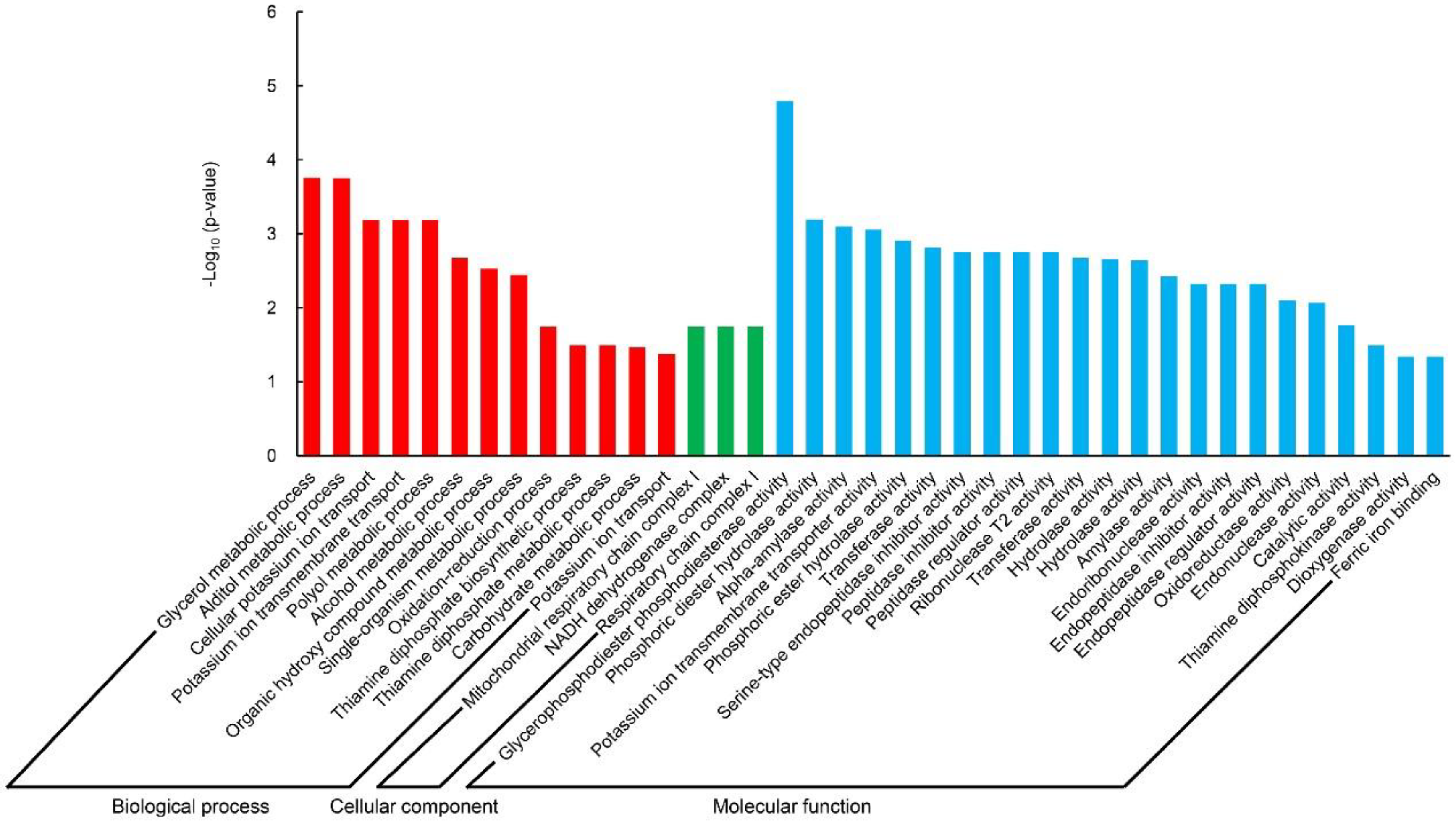 Ijms 19 03417 g002 Ijms 19 03417 g002