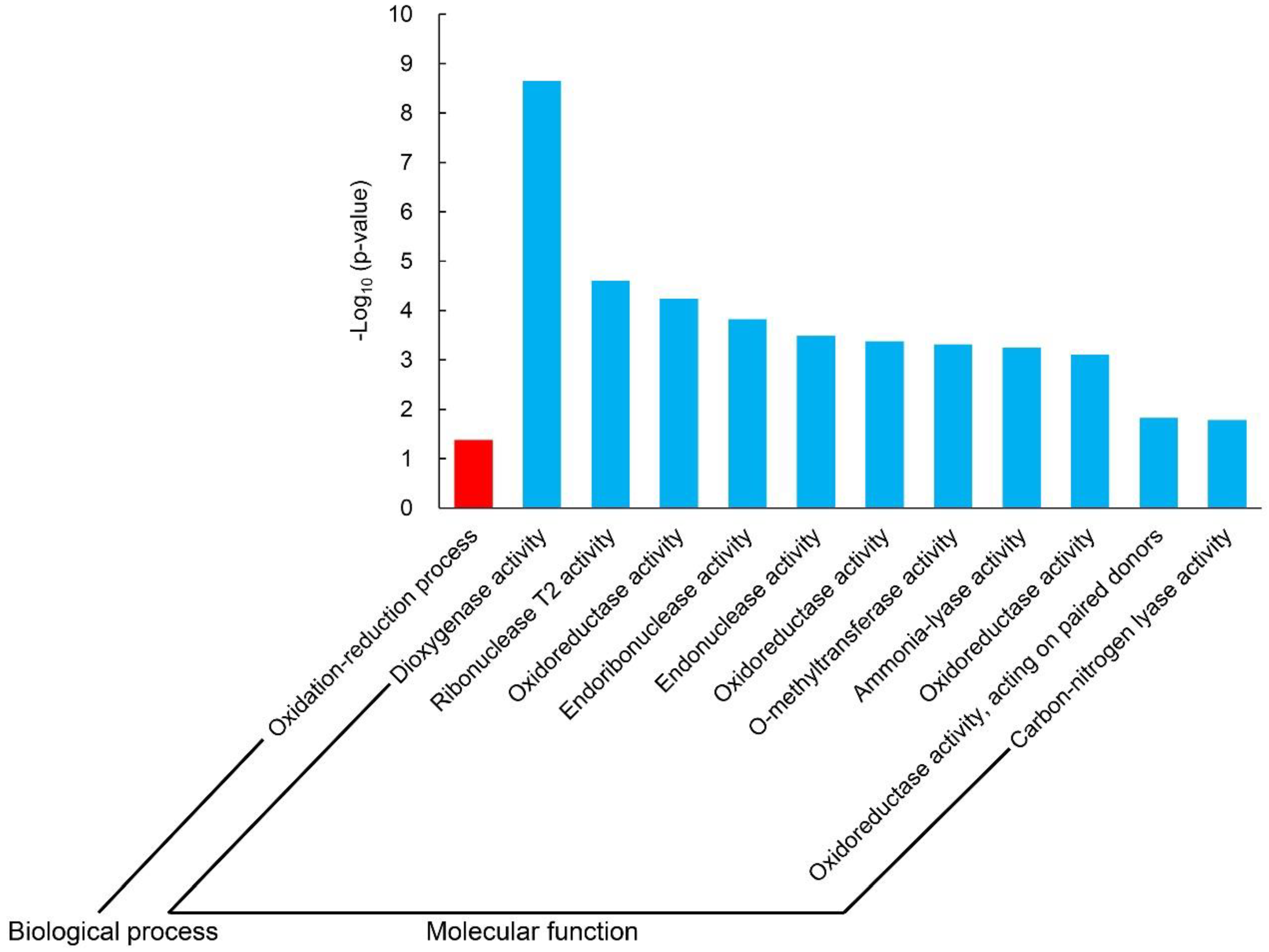 Ijms 19 03417 g003 Ijms 19 03417 g003