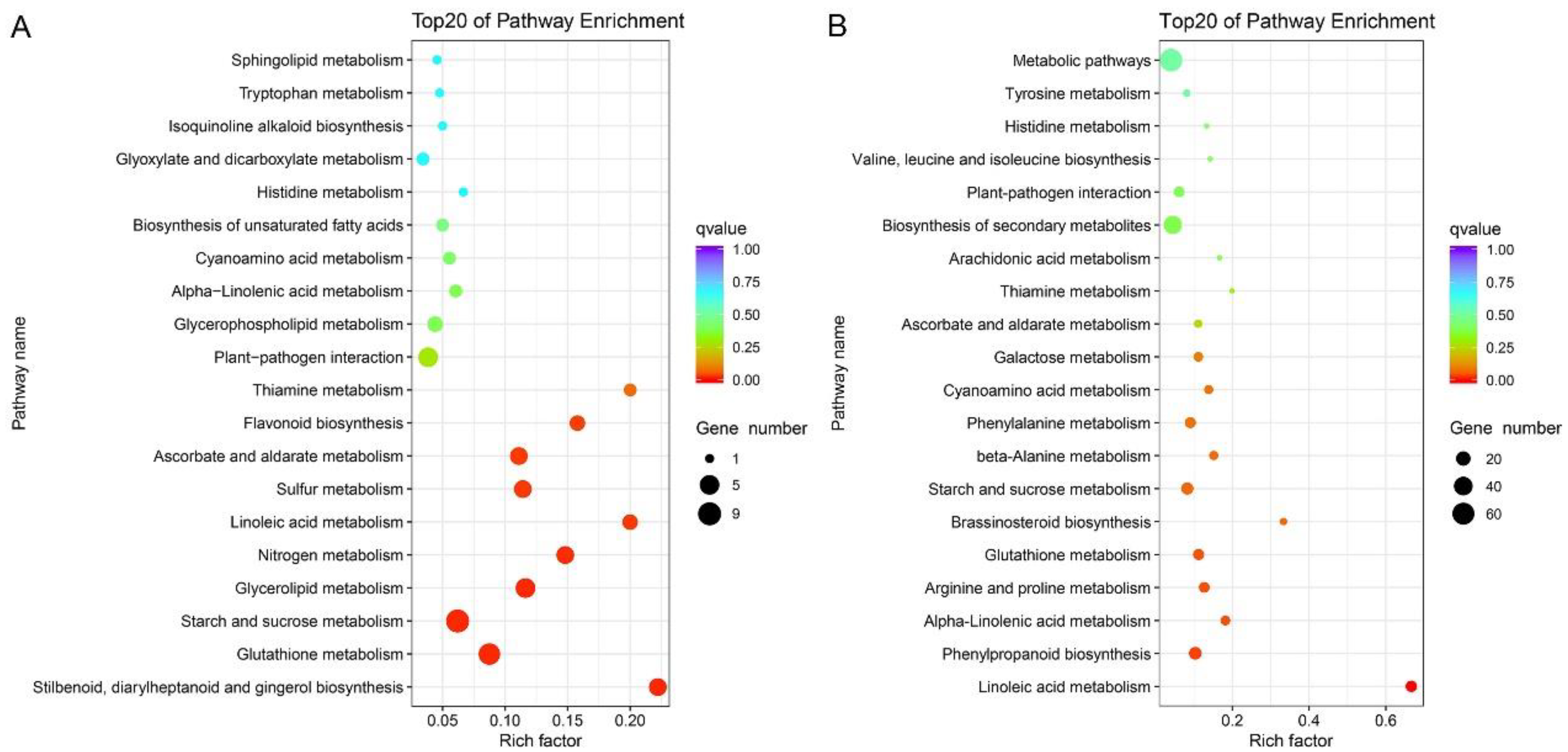 Ijms 19 03417 g004 Ijms 19 03417 g004