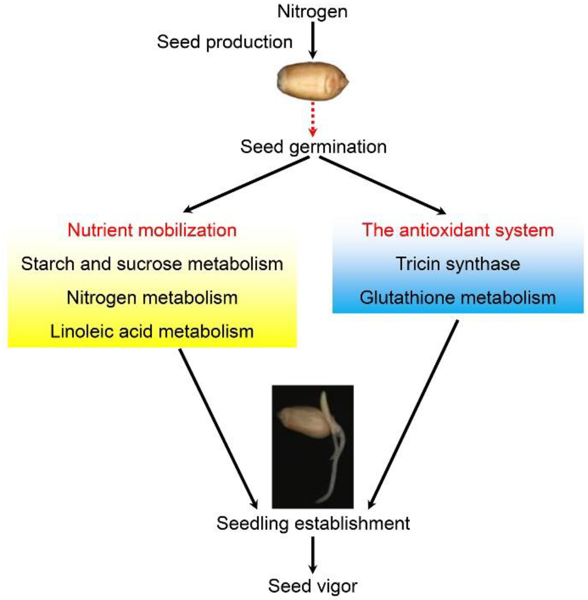 Ijms 19 03417 g006 Ijms 19 03417 g006