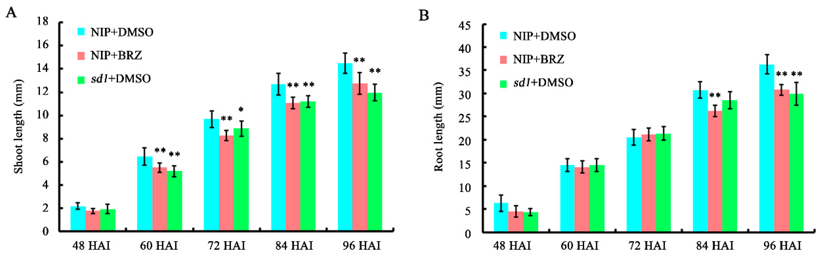 Ijms 19 03460 g002 Ijms 19 03460 g002