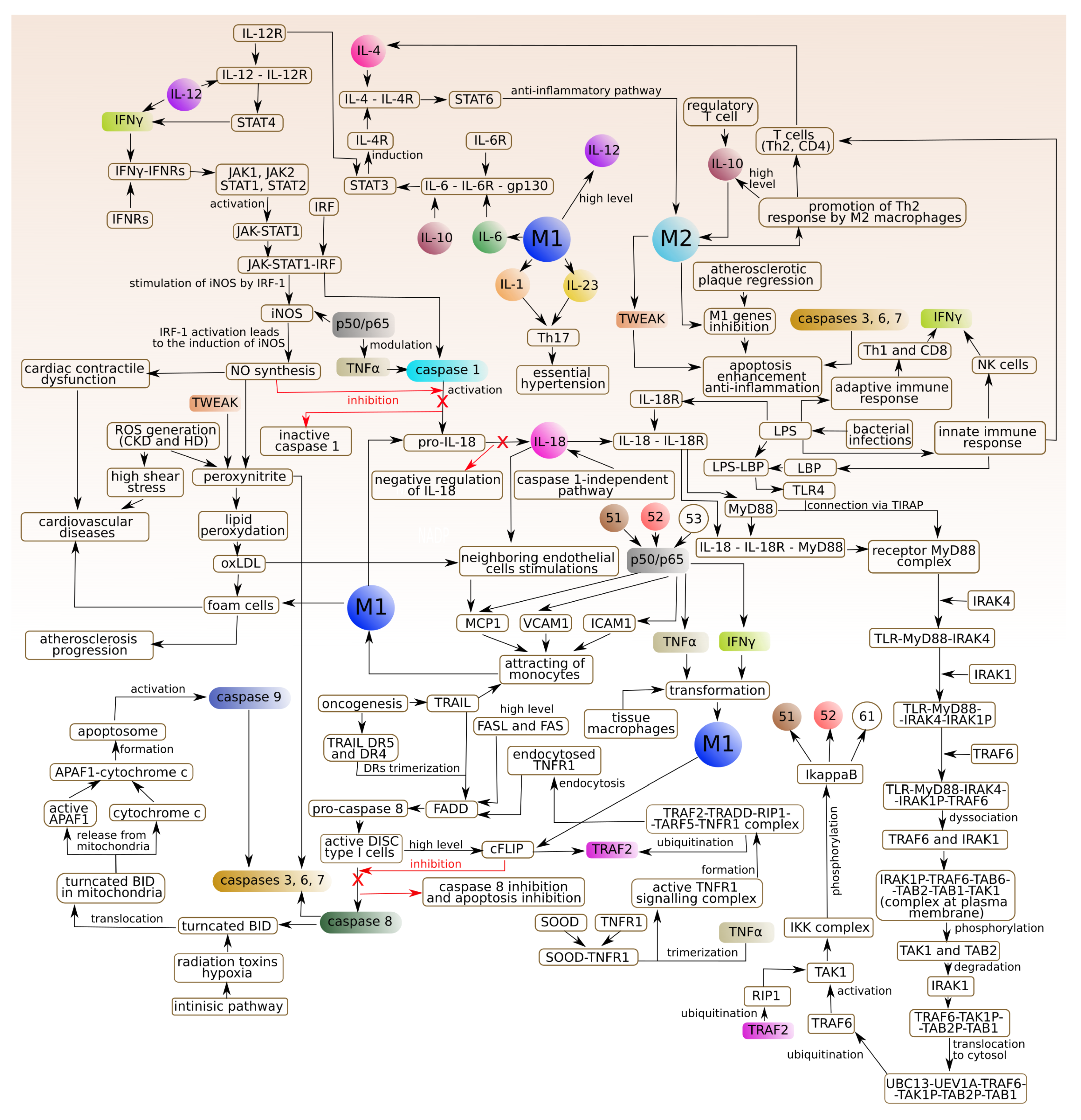 Ijms 19 03476 g004 Ijms 19 03476 g004