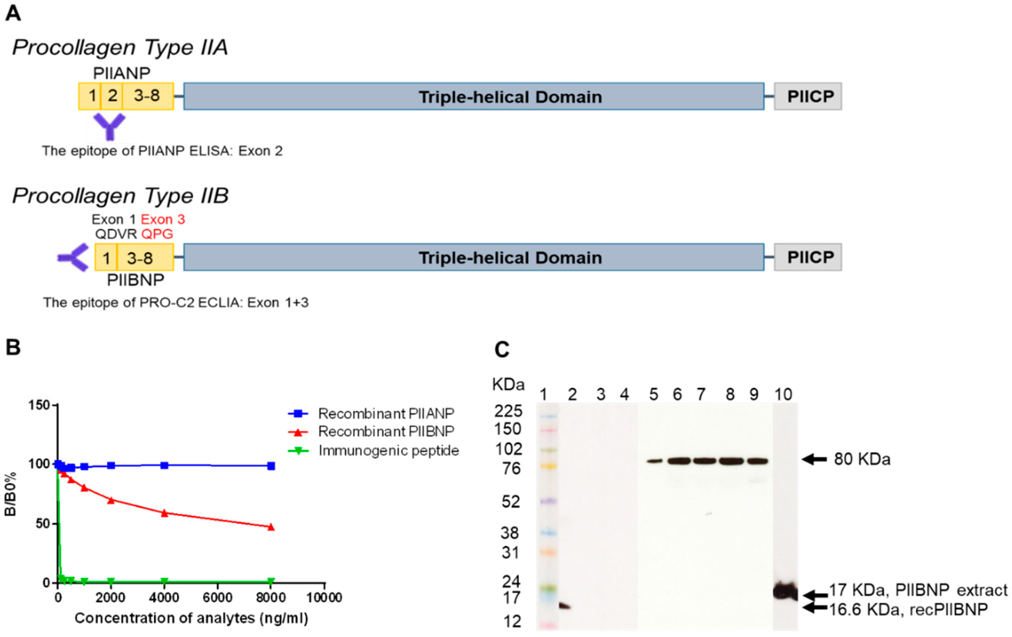 Ijms 19 03485 g001 Ijms 19 03485 g001