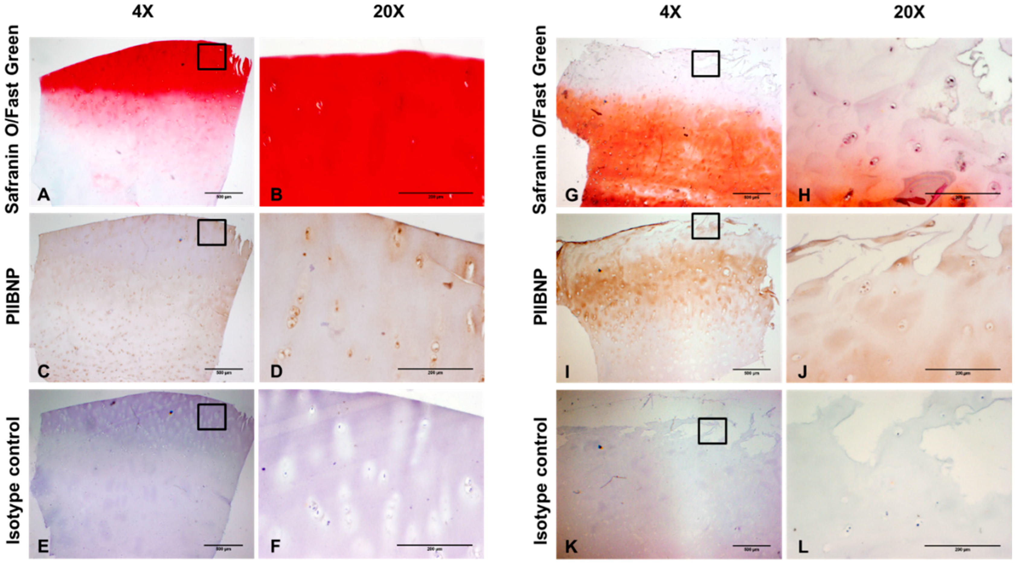 Ijms 19 03485 g002 Ijms 19 03485 g002