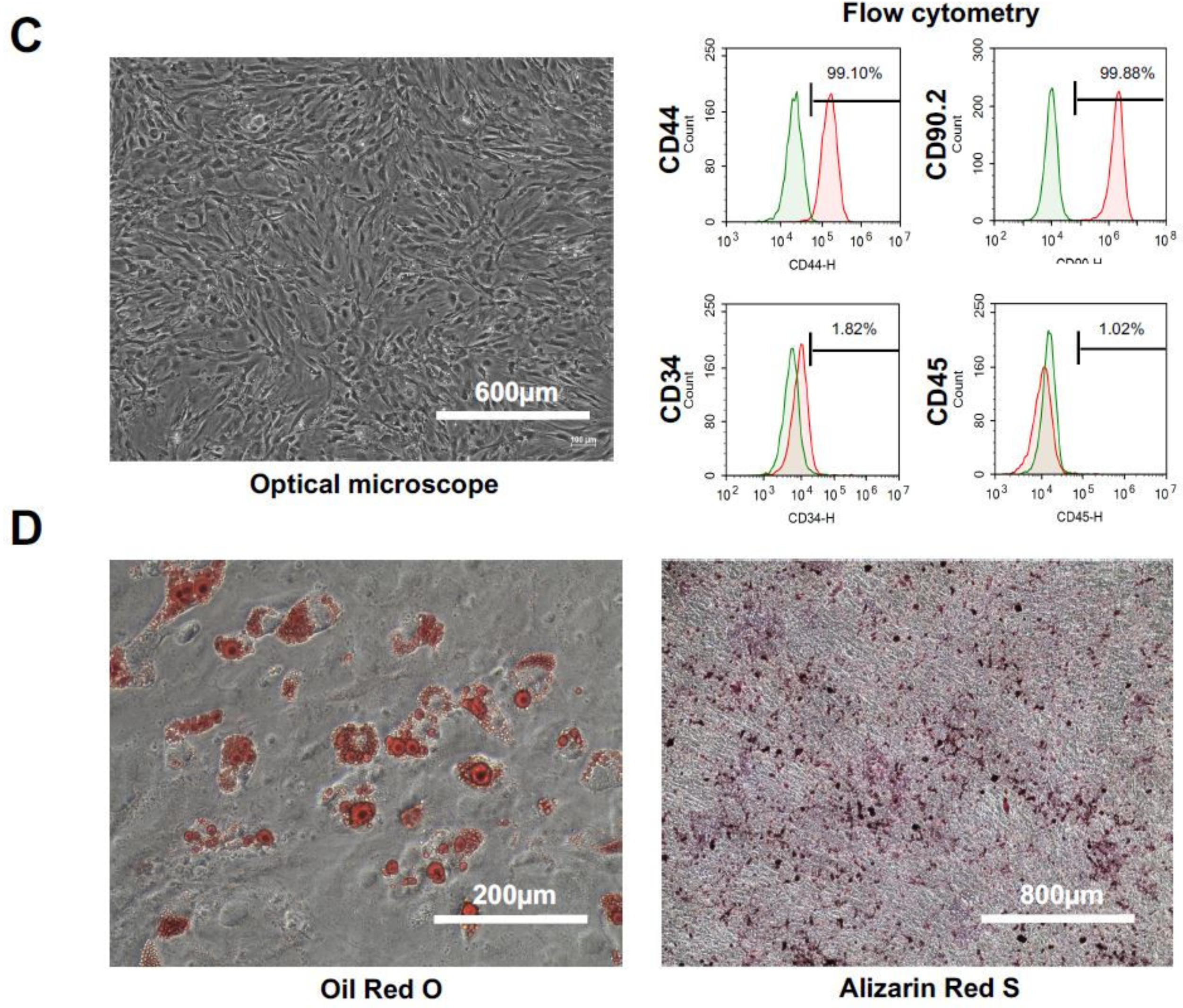 Ijms 19 03497 g001b Ijms 19 03497 g001b