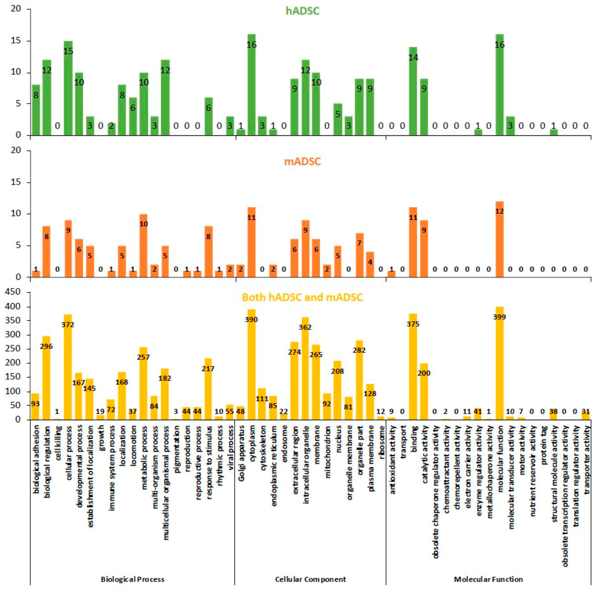 Ijms 19 03497 g003 Ijms 19 03497 g003