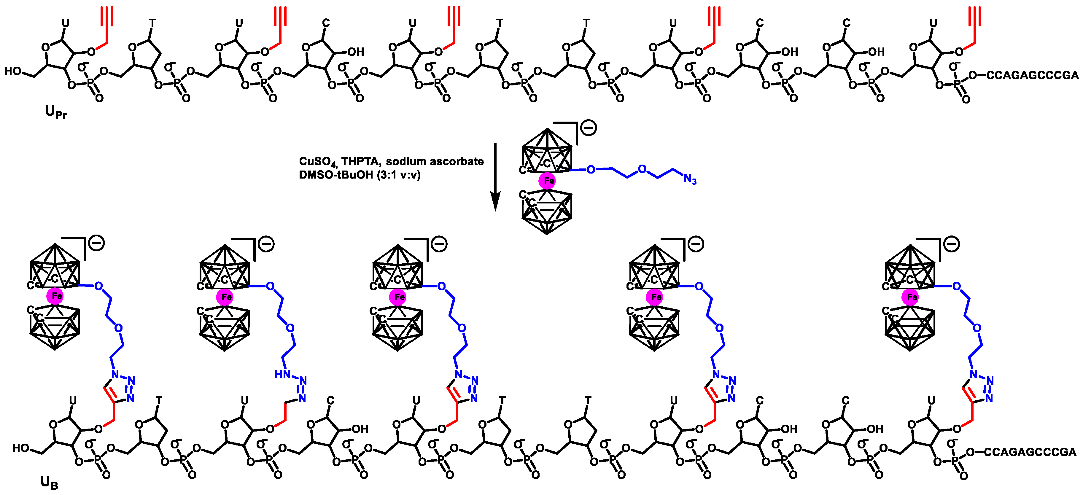 Ijms 19 03501 sch008