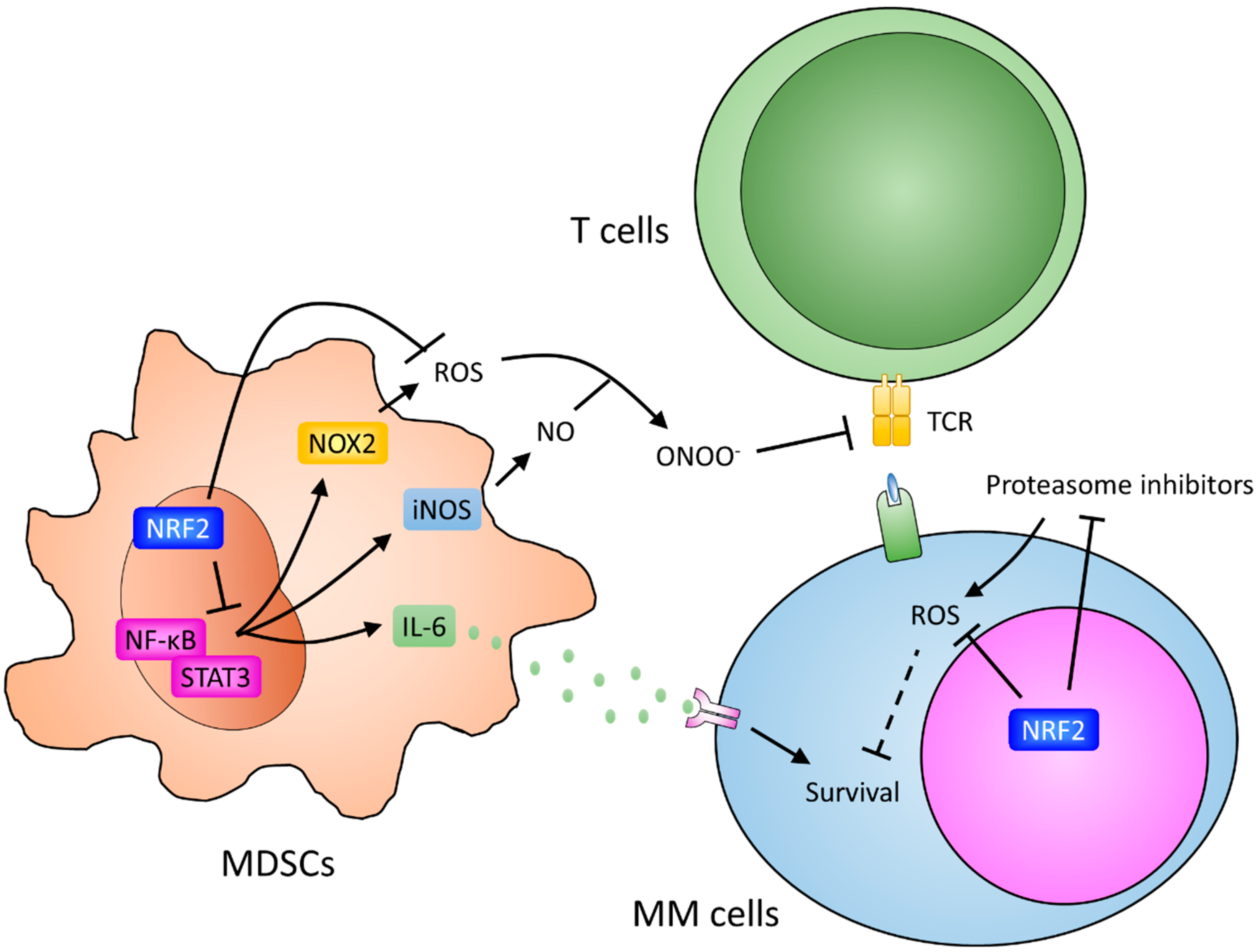 Ijms 19 03503 g002