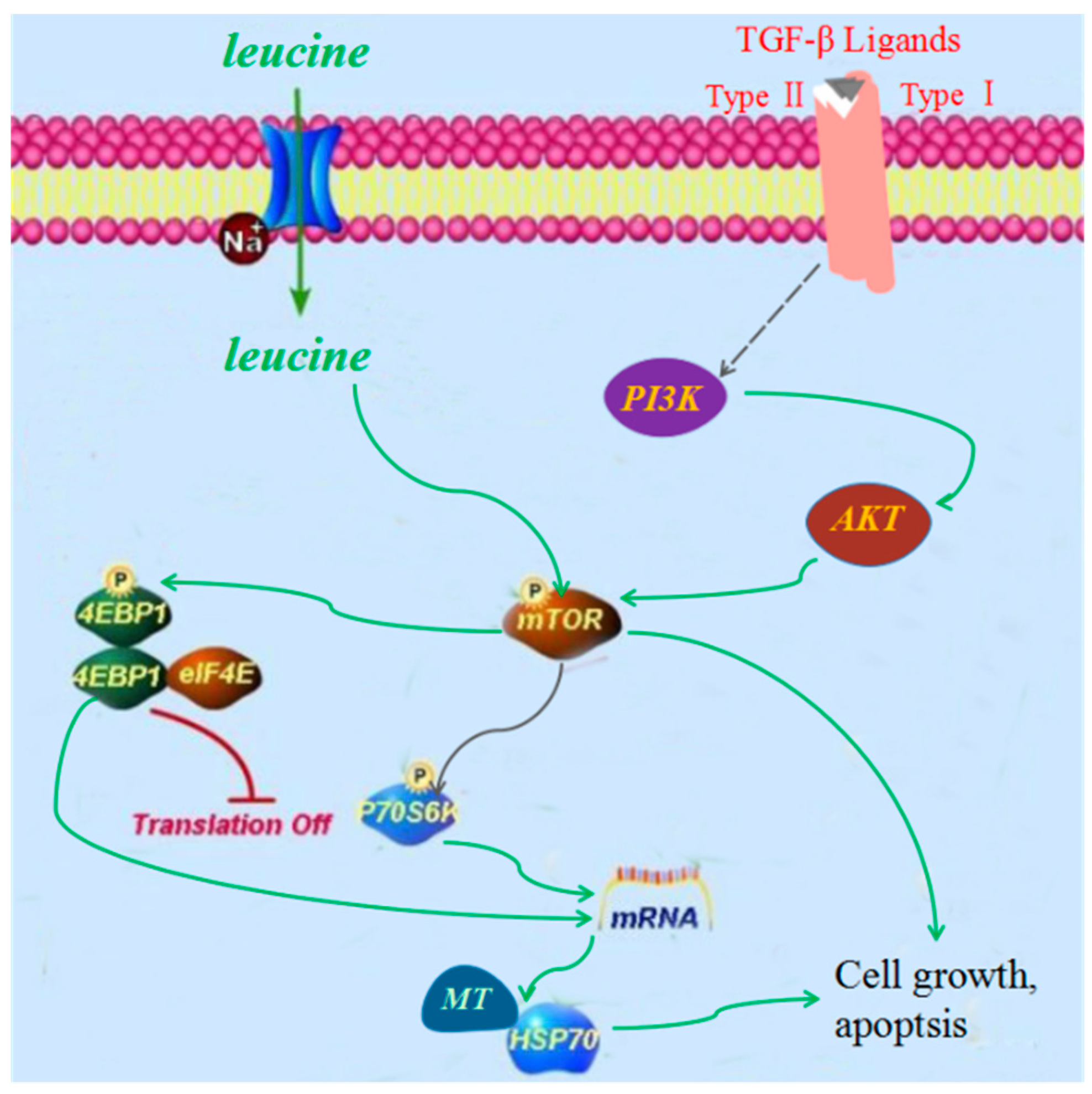 Ijms 19 03506 g007 Ijms 19 03506 g007