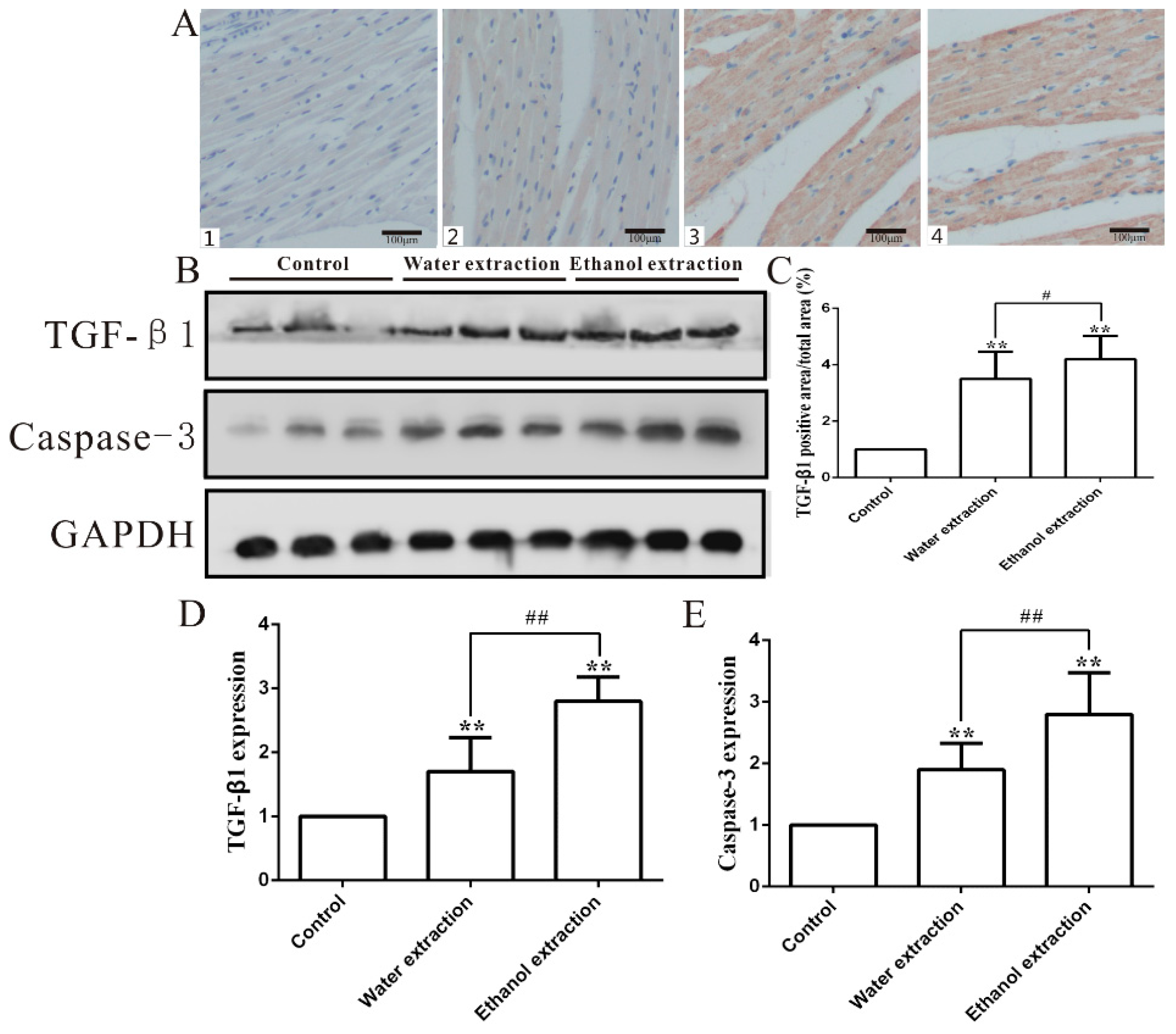 Ijms 19 03506 g009 Ijms 19 03506 g009