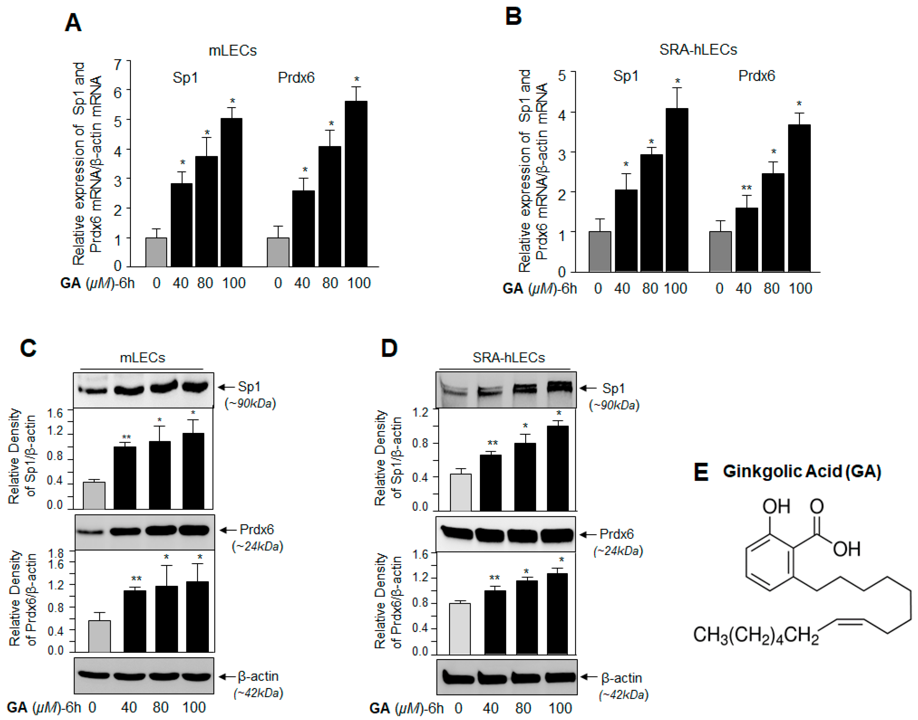 Ijms 19 03520 g001 Ijms 19 03520 g001