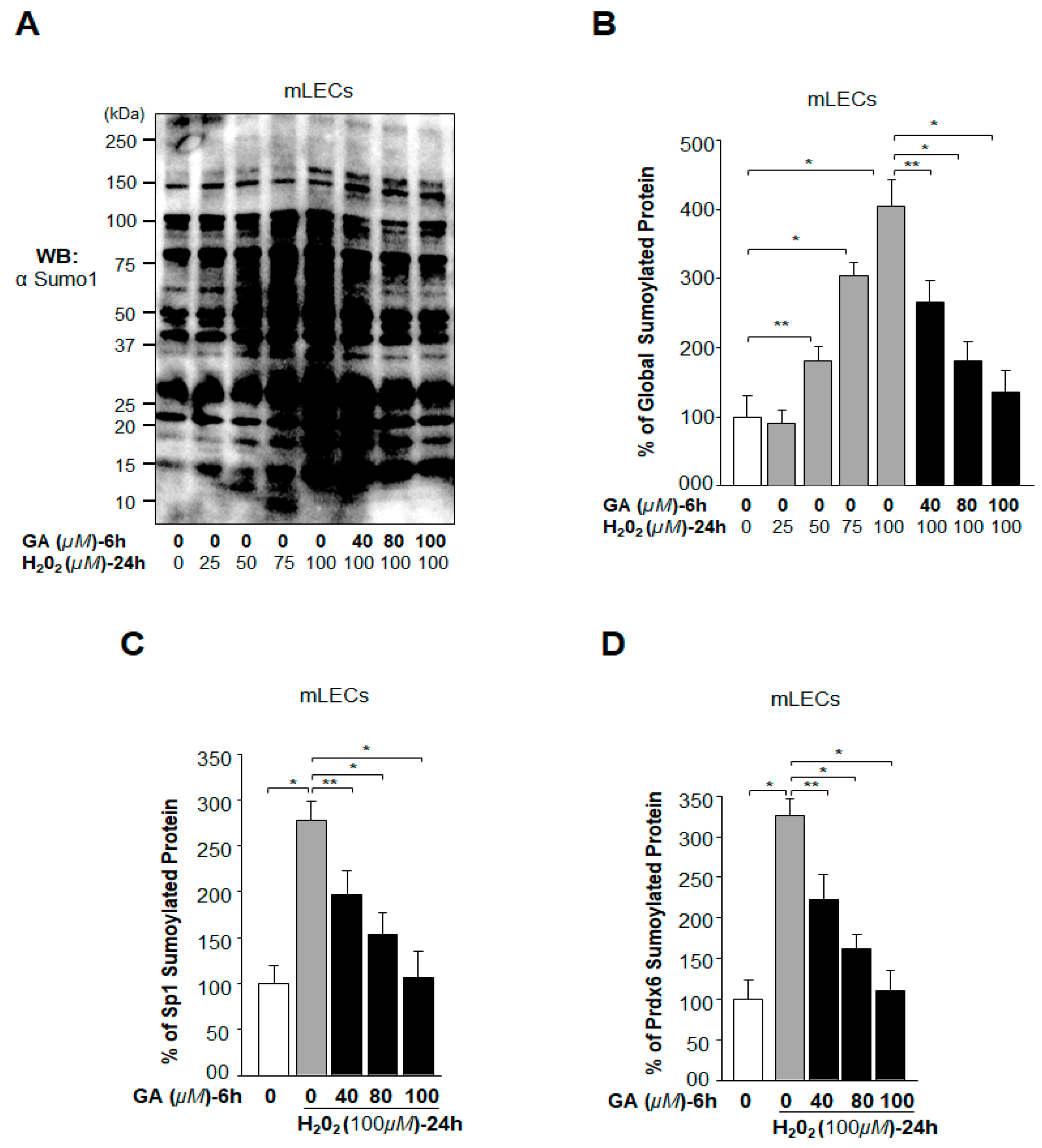 Ijms 19 03520 g005 Ijms 19 03520 g005