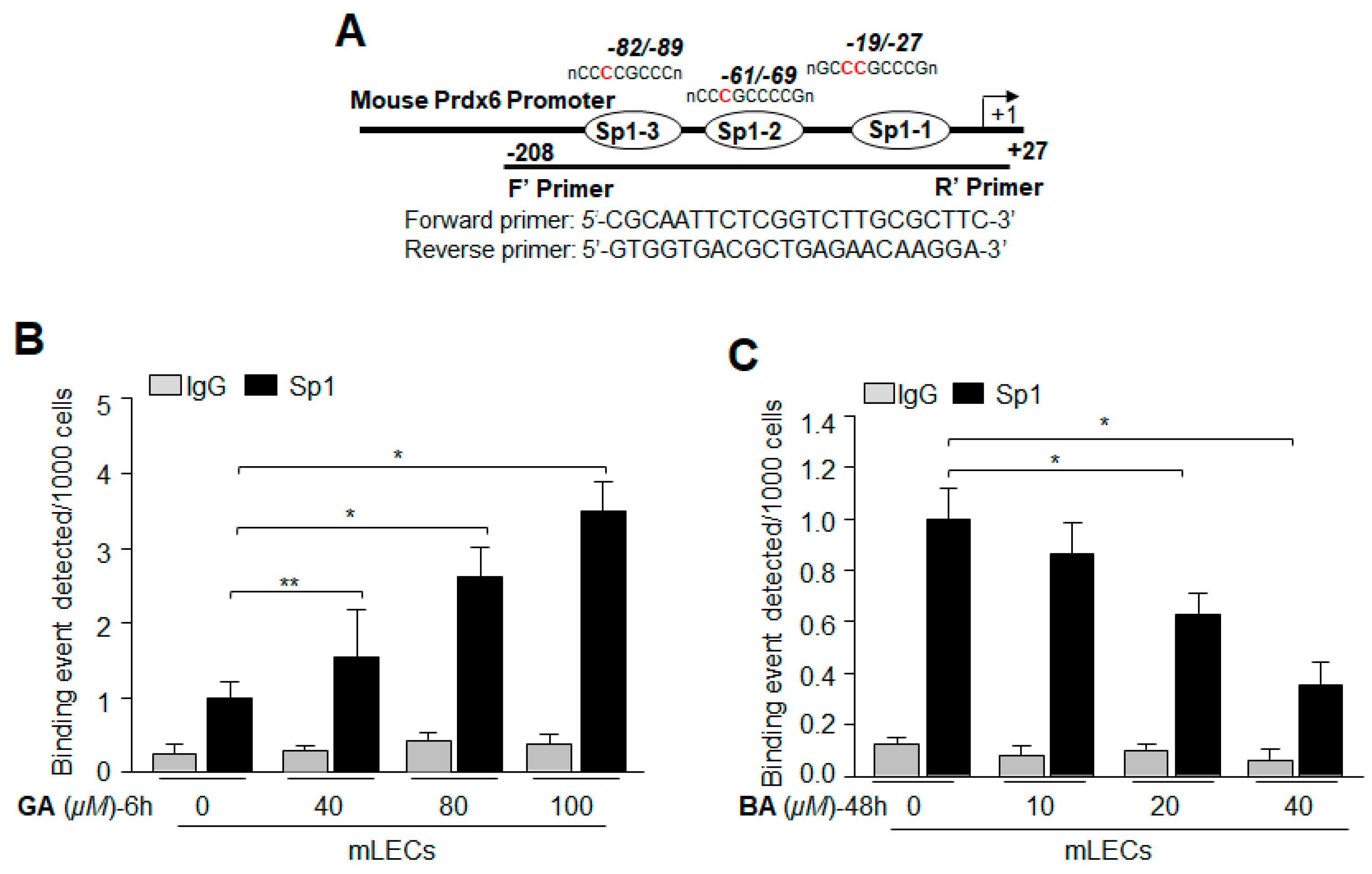 Ijms 19 03520 g008 Ijms 19 03520 g008