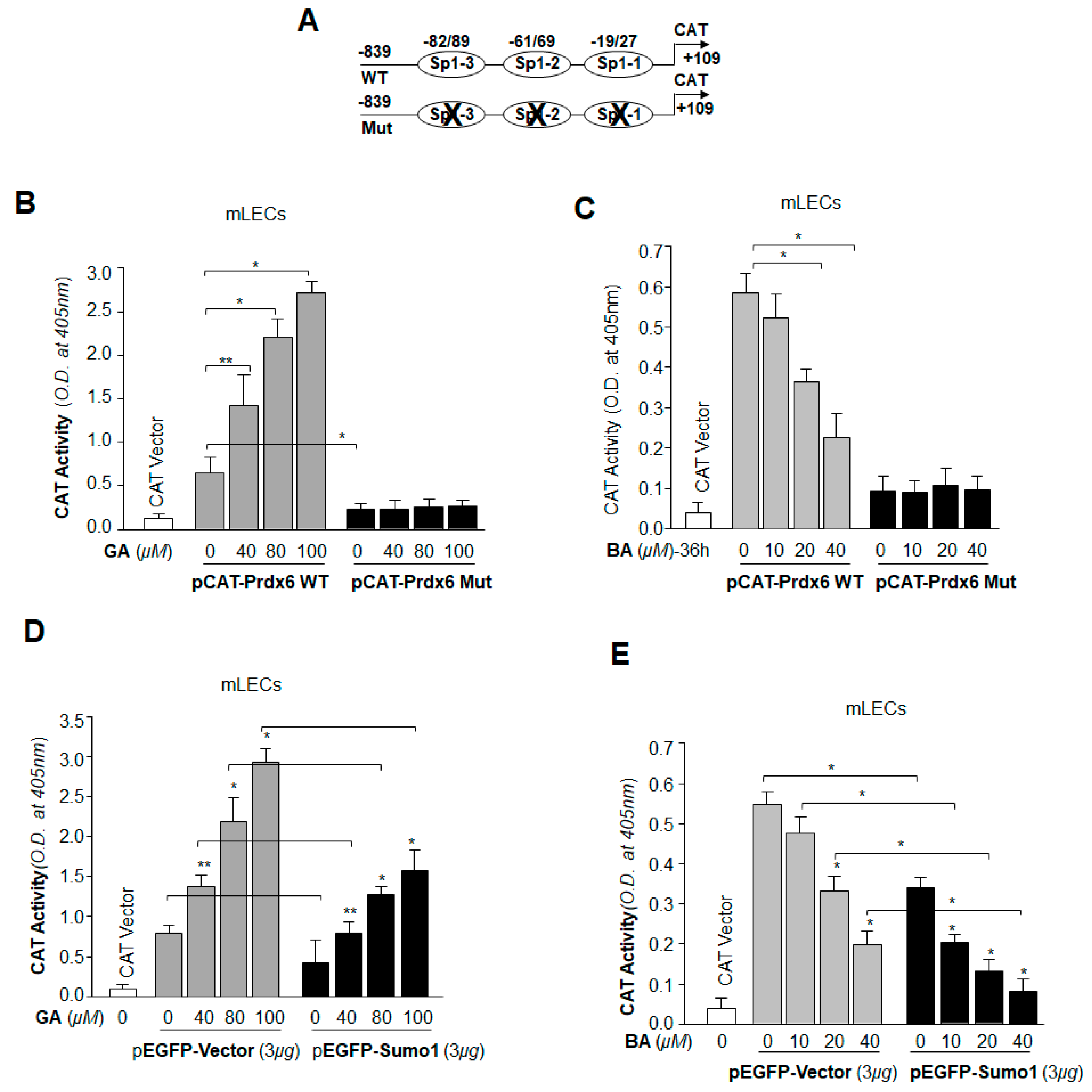 Ijms 19 03520 g010 Ijms 19 03520 g010