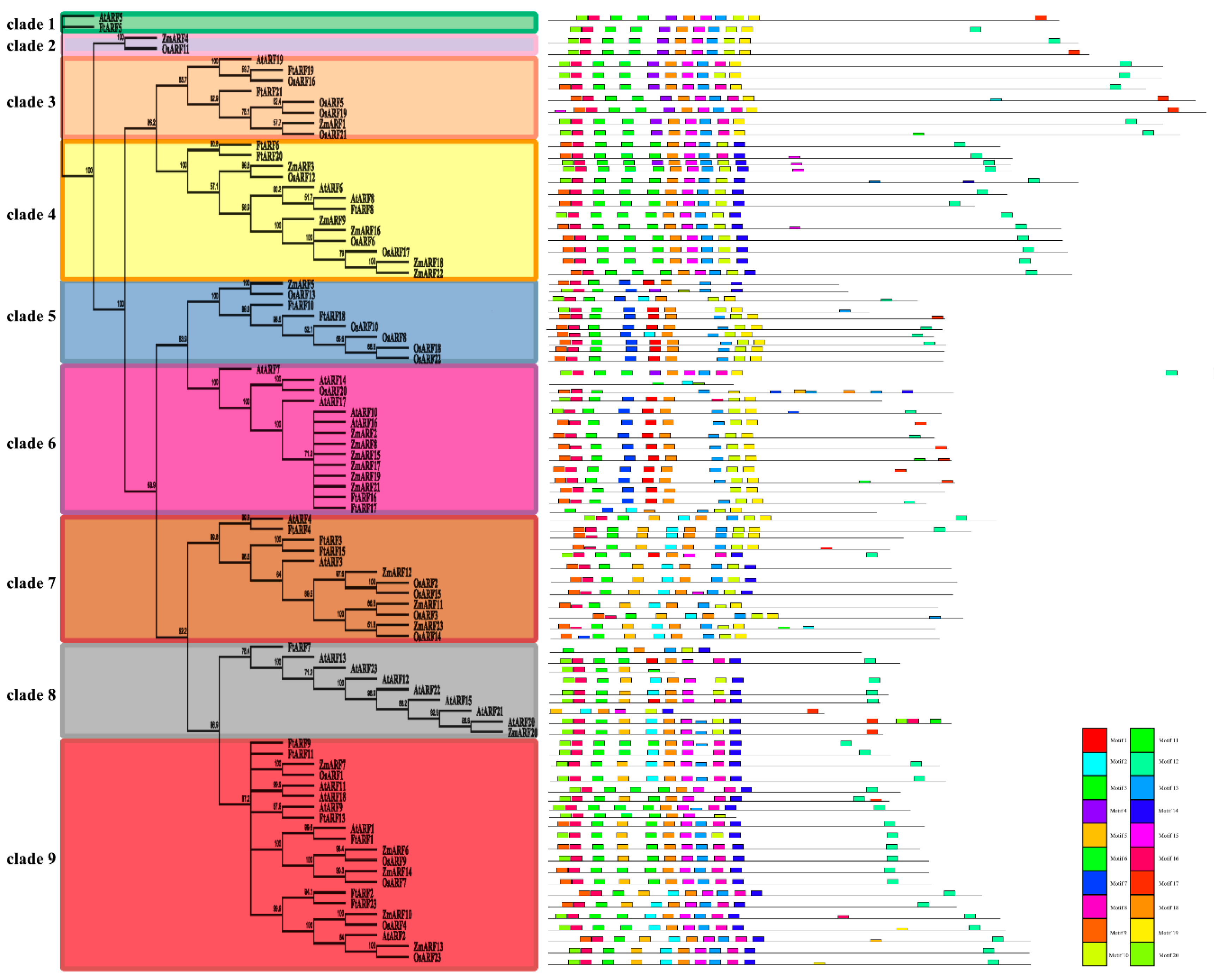 Ijms 19 03526 g002 Ijms 19 03526 g002