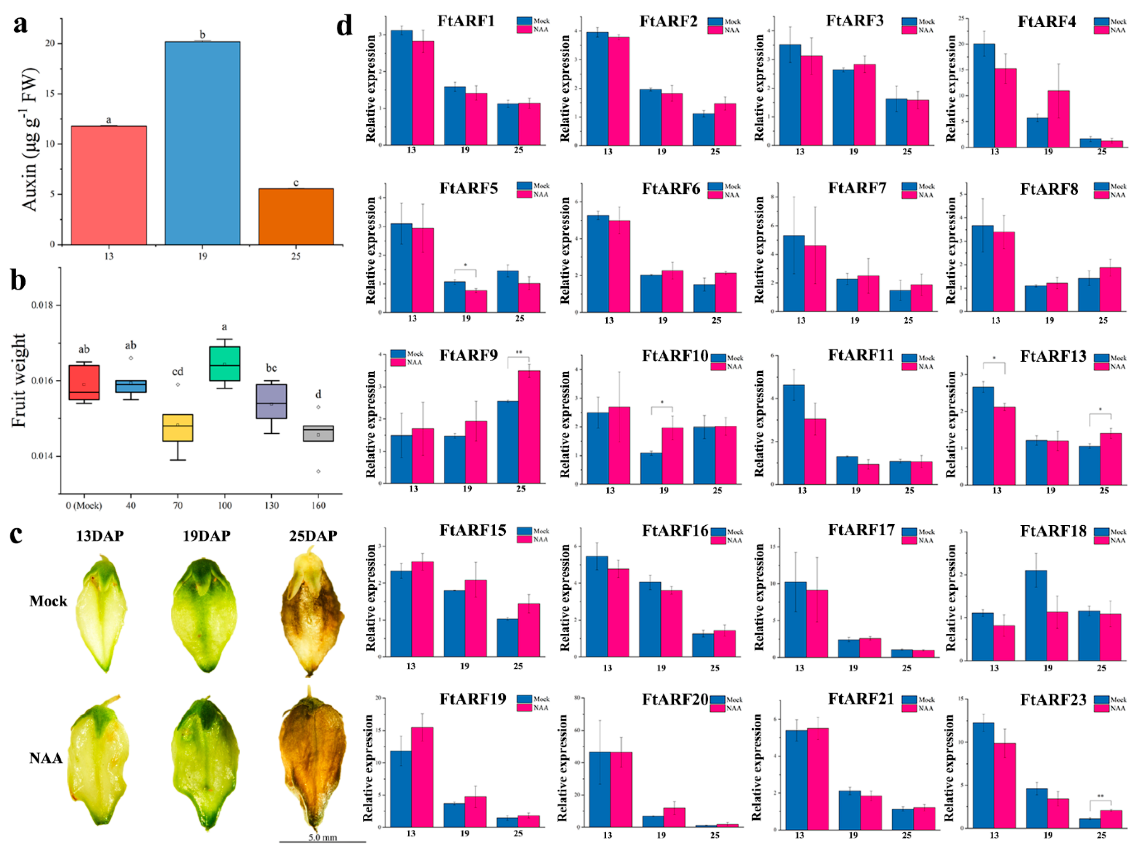 Ijms 19 03526 g006 Ijms 19 03526 g006