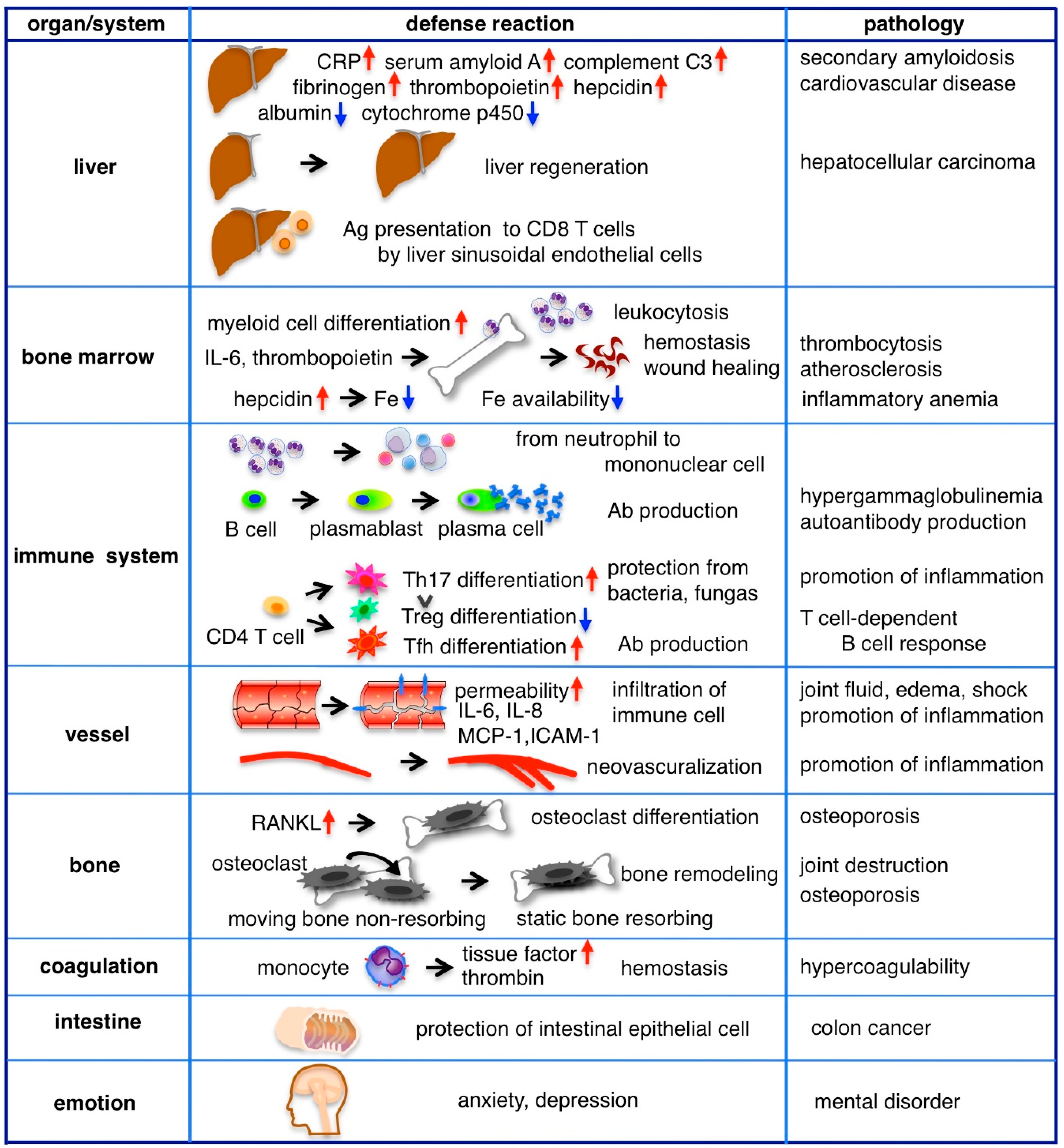Ijms 19 03528 g003 Ijms 19 03528 g003