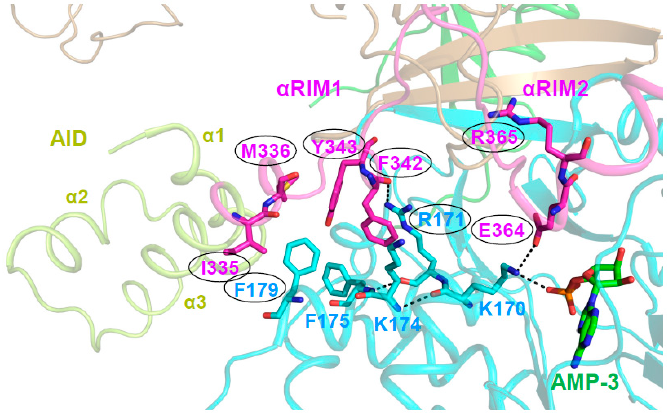 Ijms 19 03534 g006 Ijms 19 03534 g006