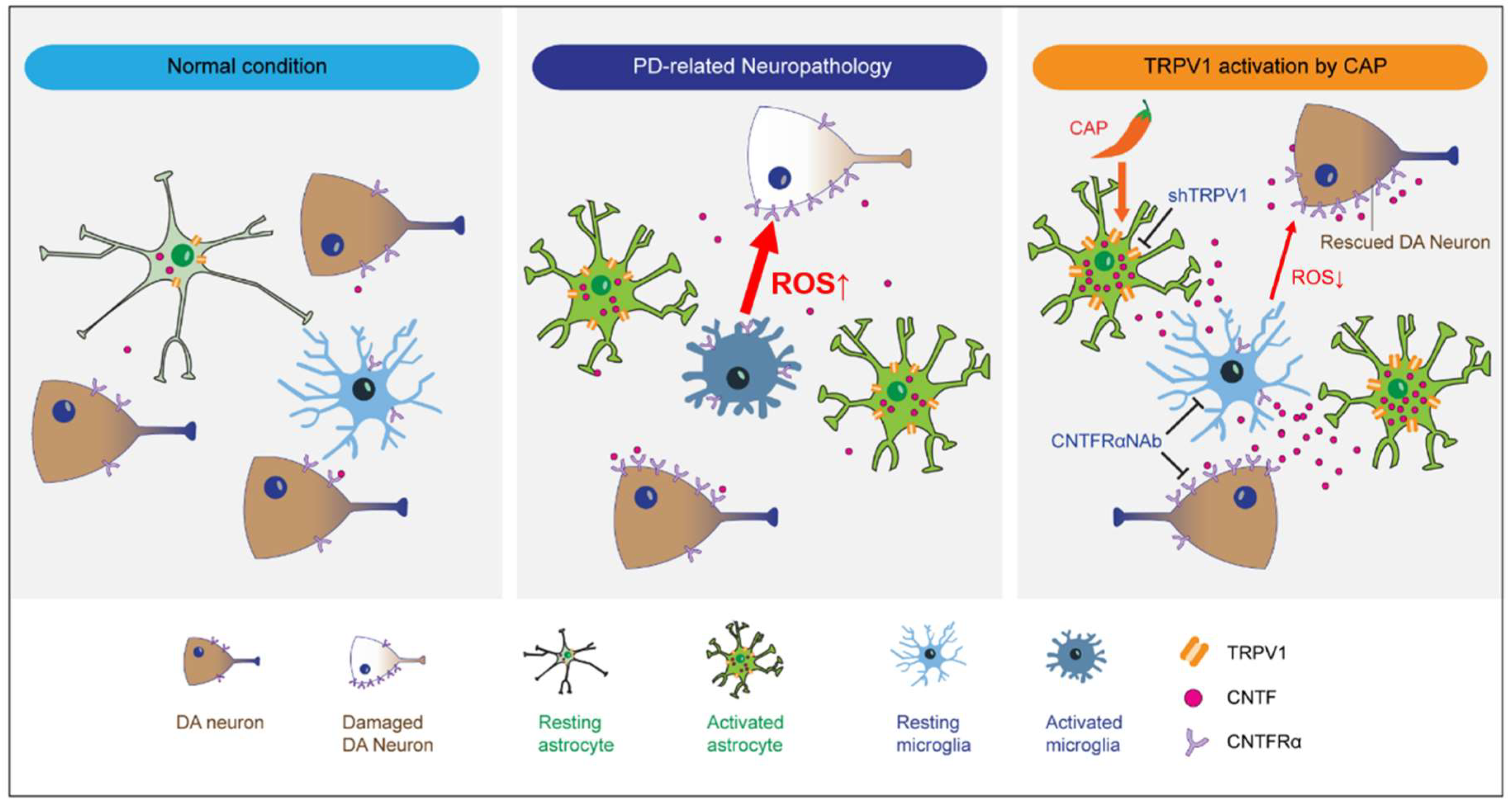 Ijms 19 03543 g007 Ijms 19 03543 g007