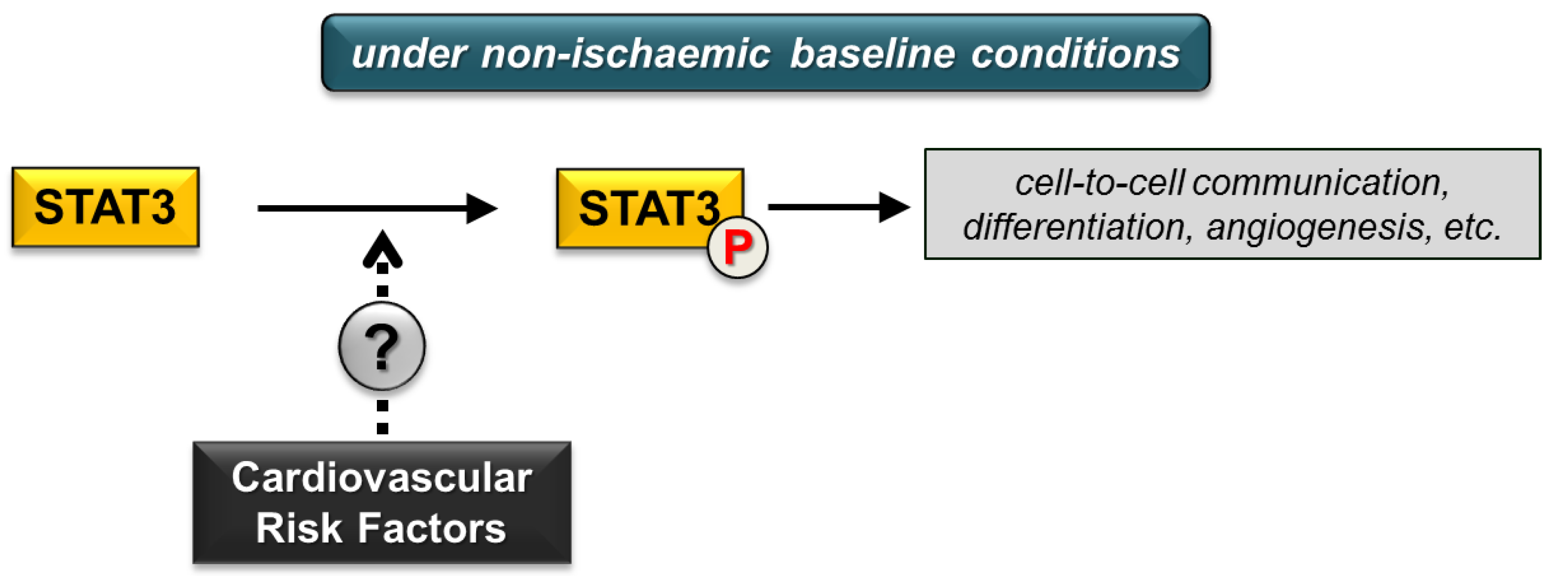 Ijms 19 03572 g002 Ijms 19 03572 g002