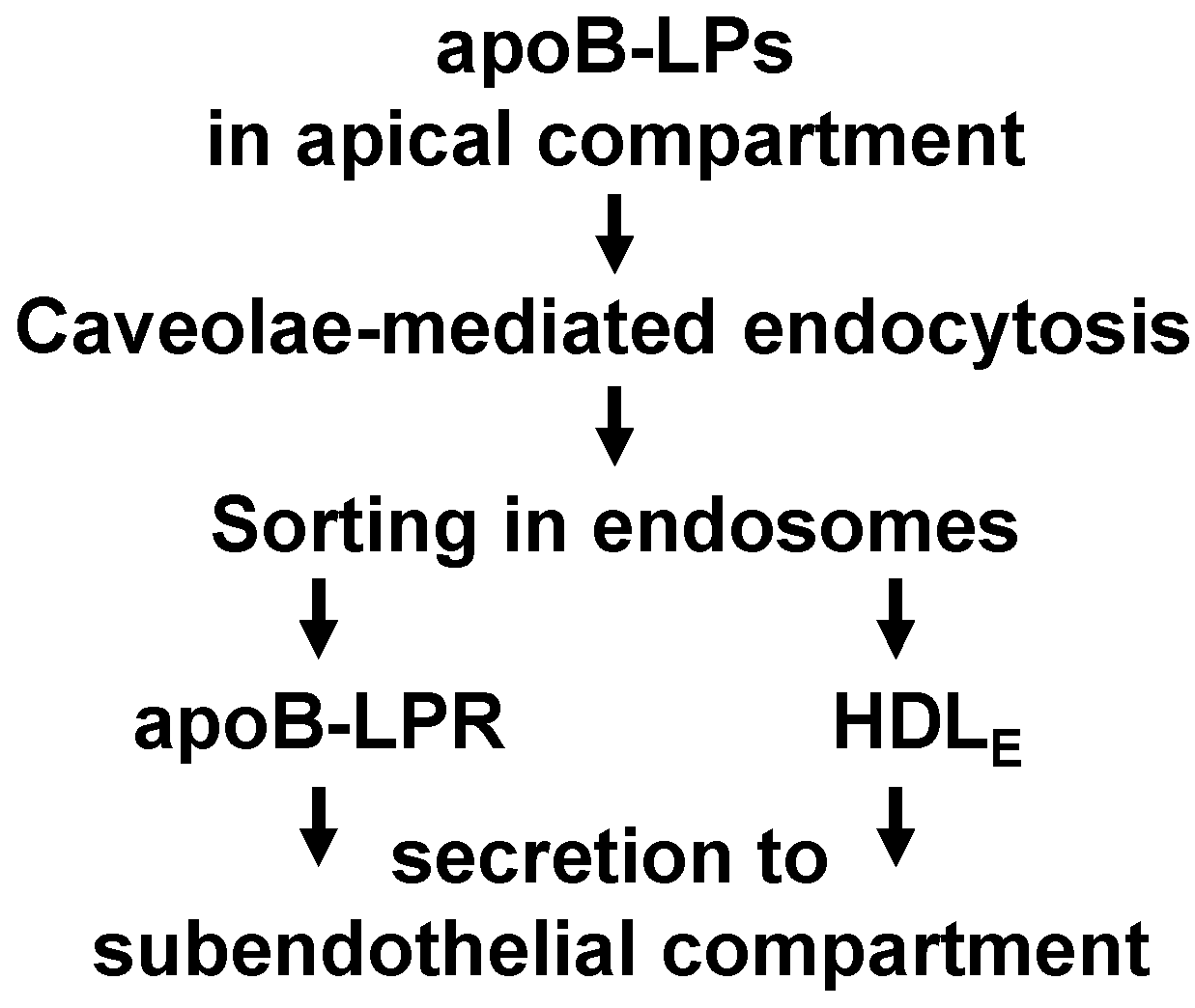 Ijms 19 03593 sch001