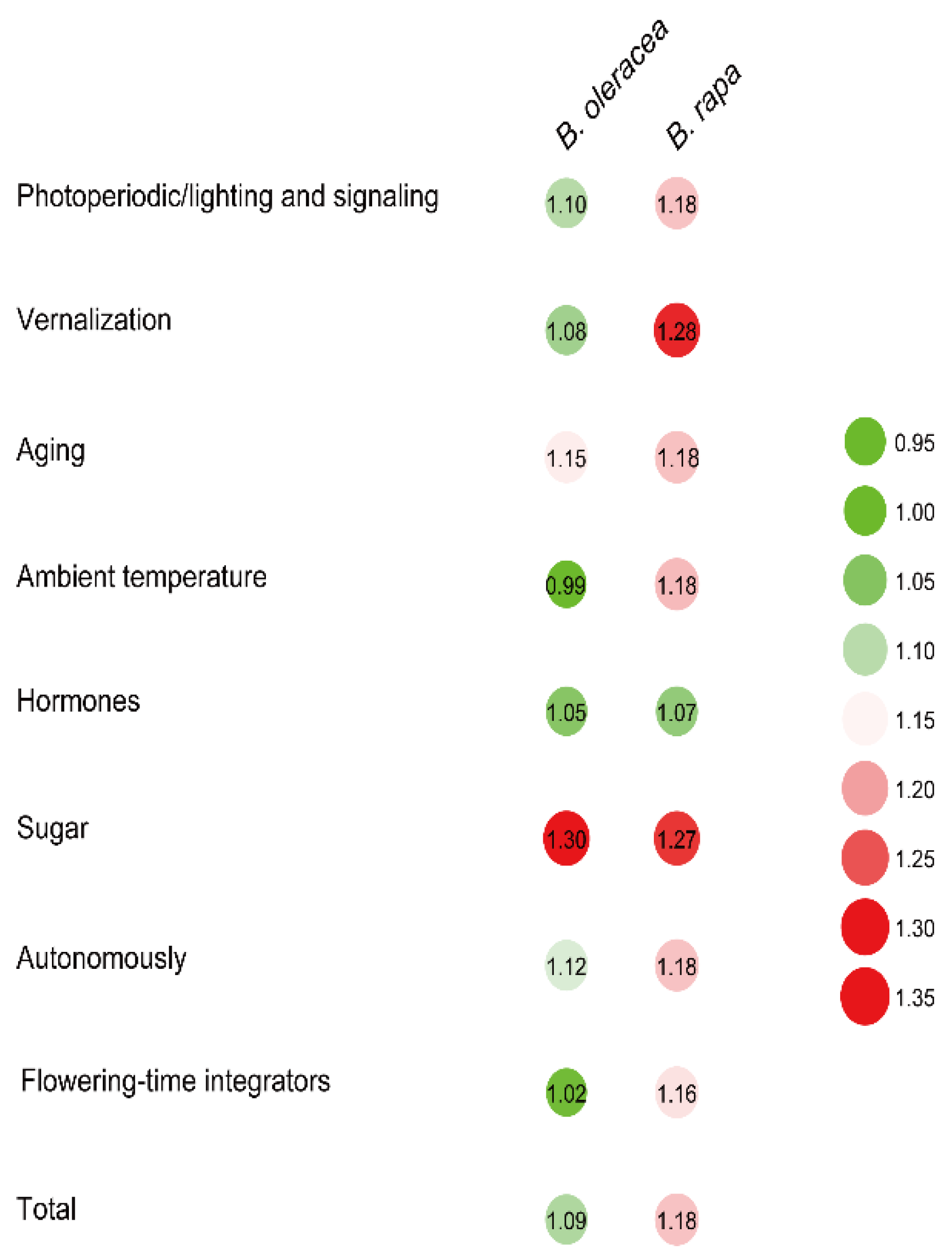 Ijms 19 03632 g001 Ijms 19 03632 g001