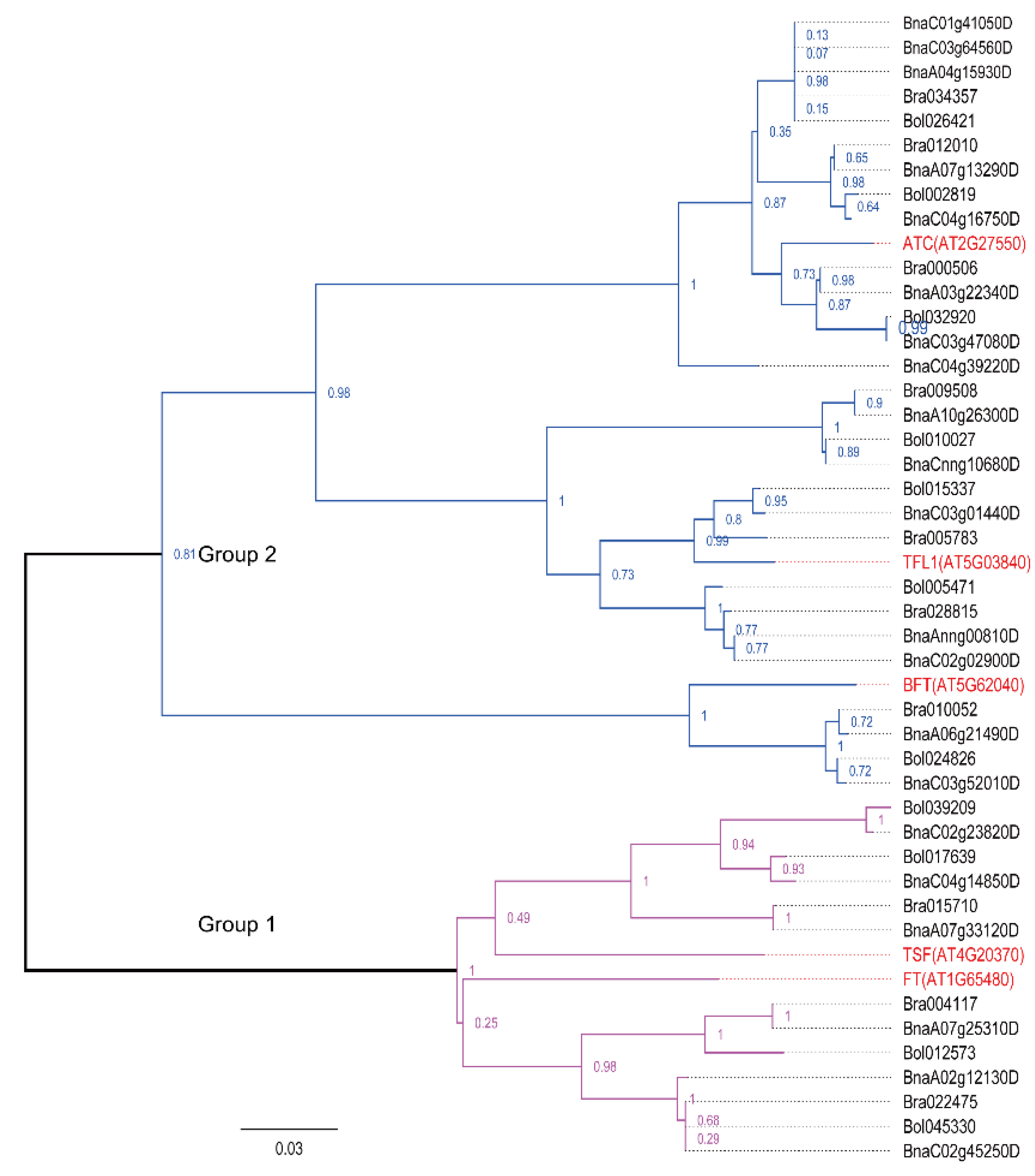Ijms 19 03632 g002 Ijms 19 03632 g002