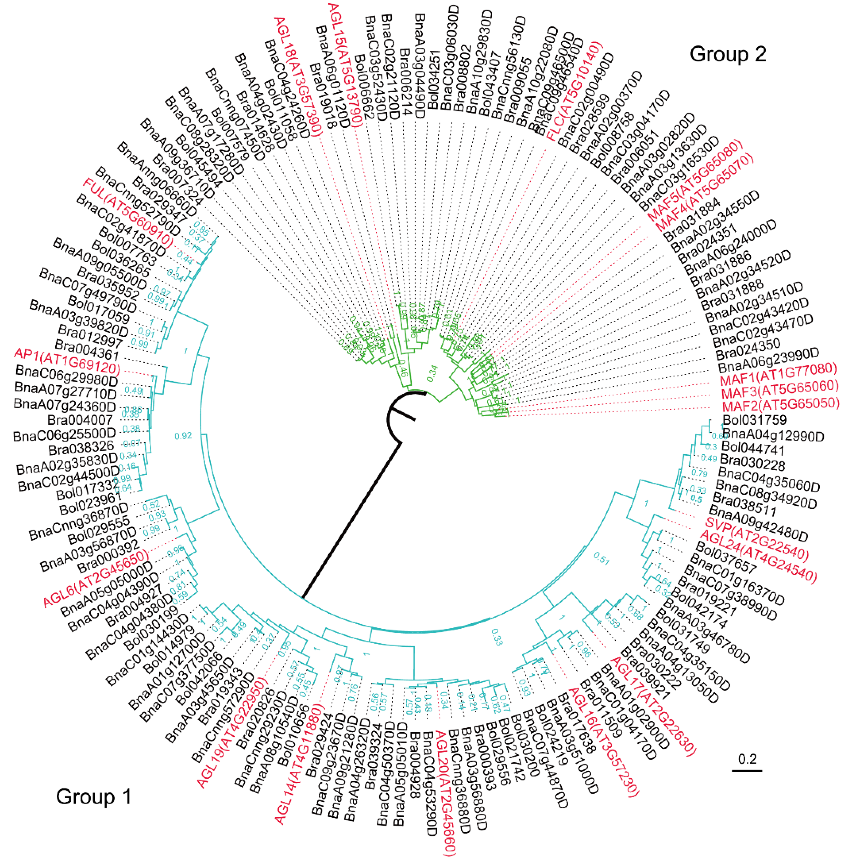 Ijms 19 03632 g003 Ijms 19 03632 g003