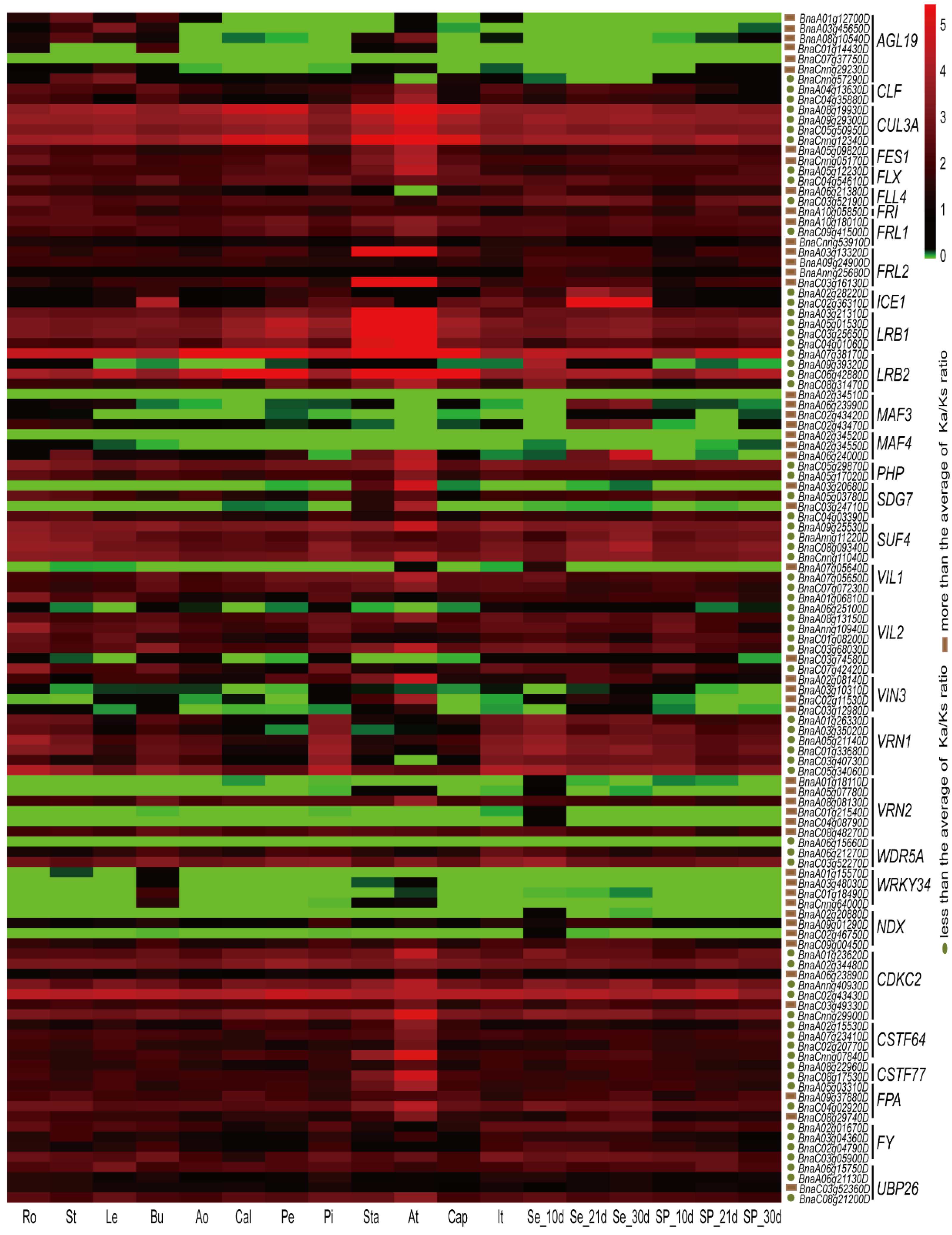 Ijms 19 03632 g005 Ijms 19 03632 g005