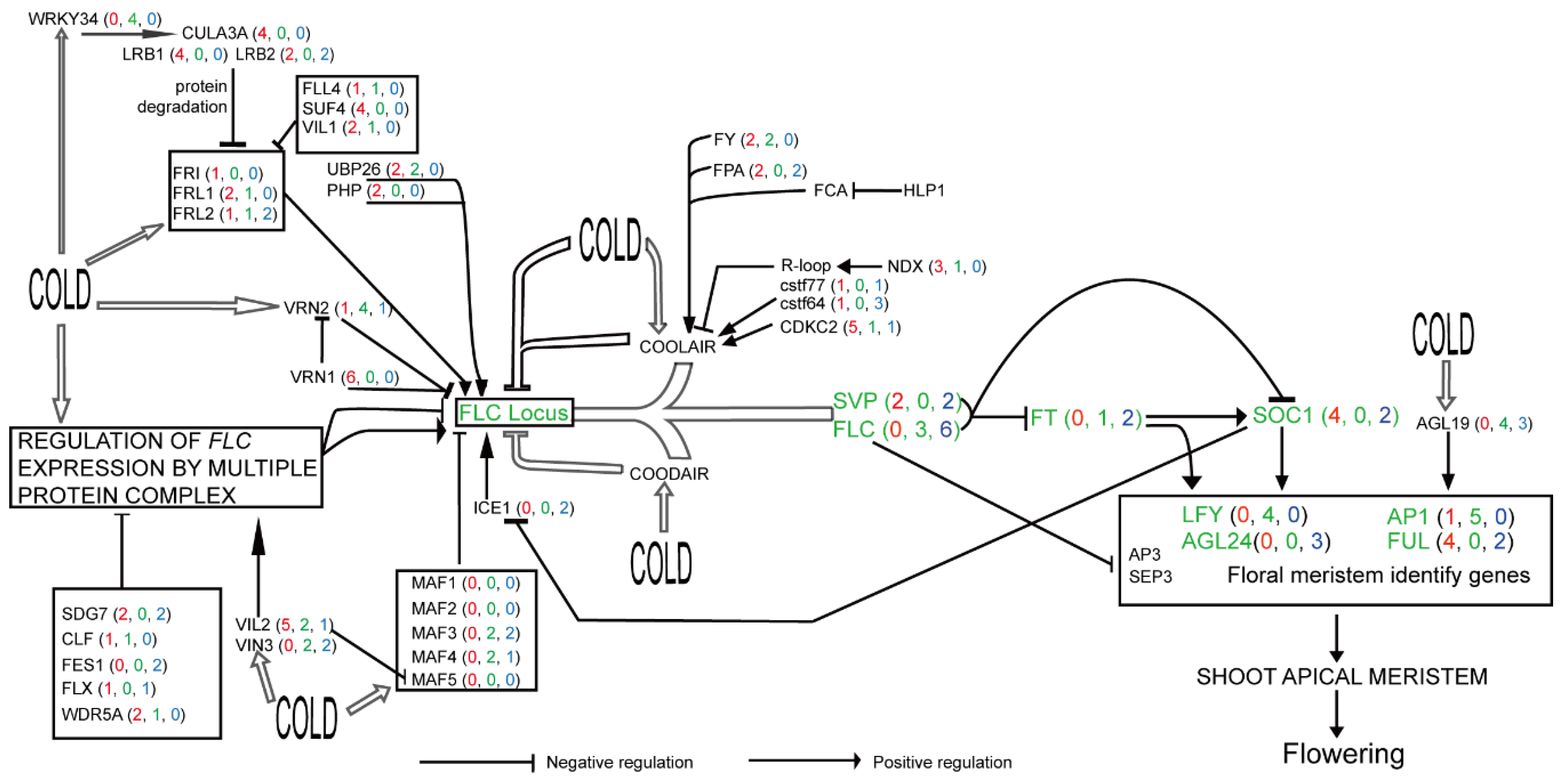 Ijms 19 03632 g006 Ijms 19 03632 g006